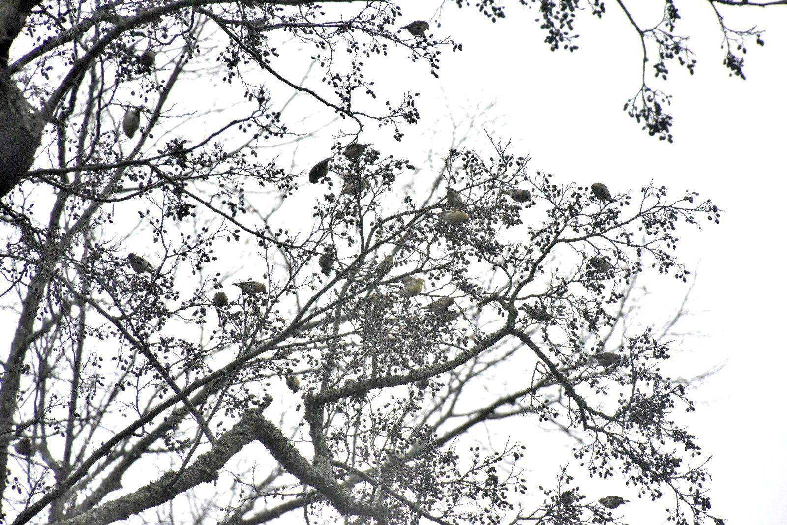 Valokuvaaja: Reijo Juurinen