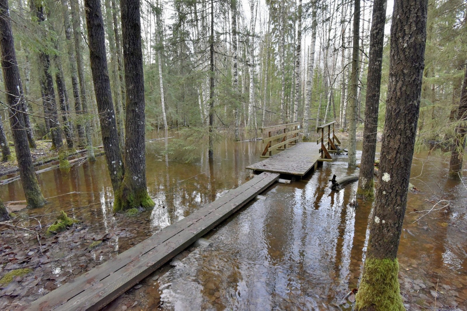 Valokuvaaja: Reijo Juurinen
