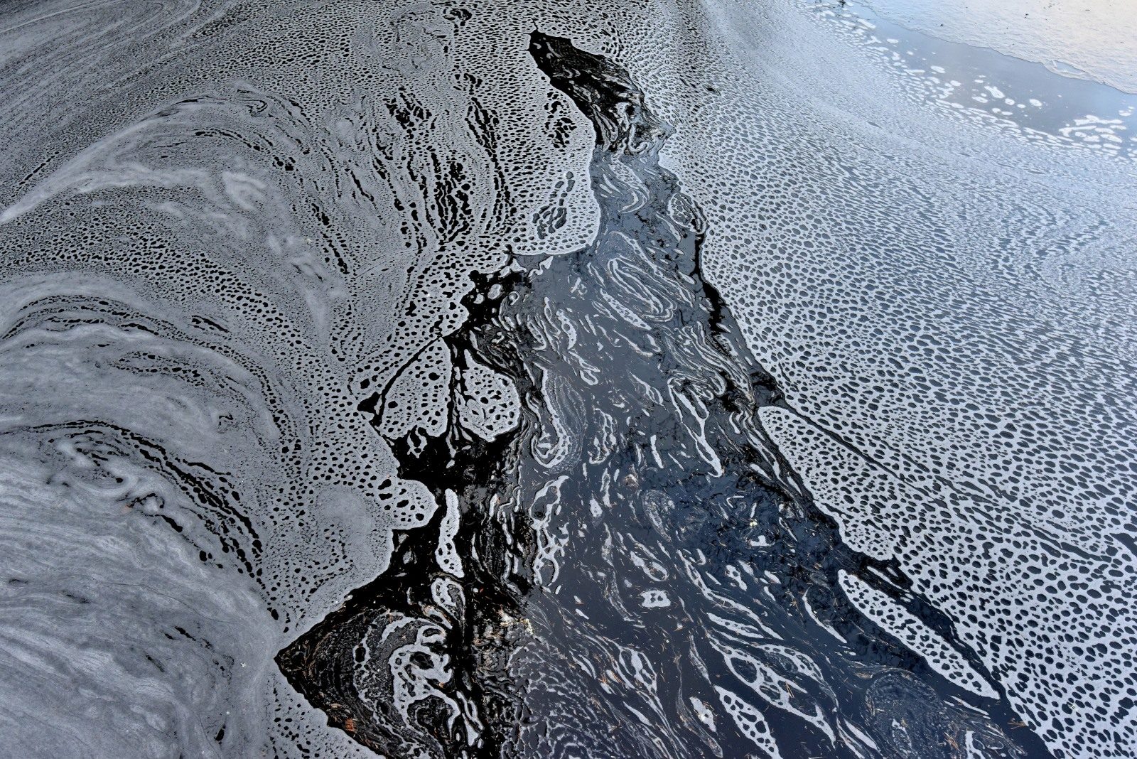Valokuvaaja: Reijo Juurinen Valokuvaaja: Reijo Juurinen