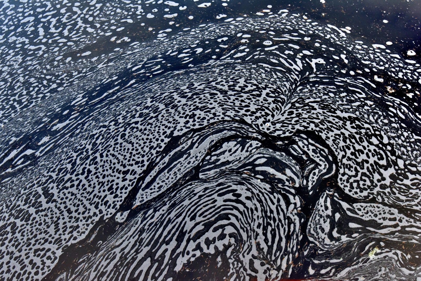 Valokuvaaja: Reijo Juurinen