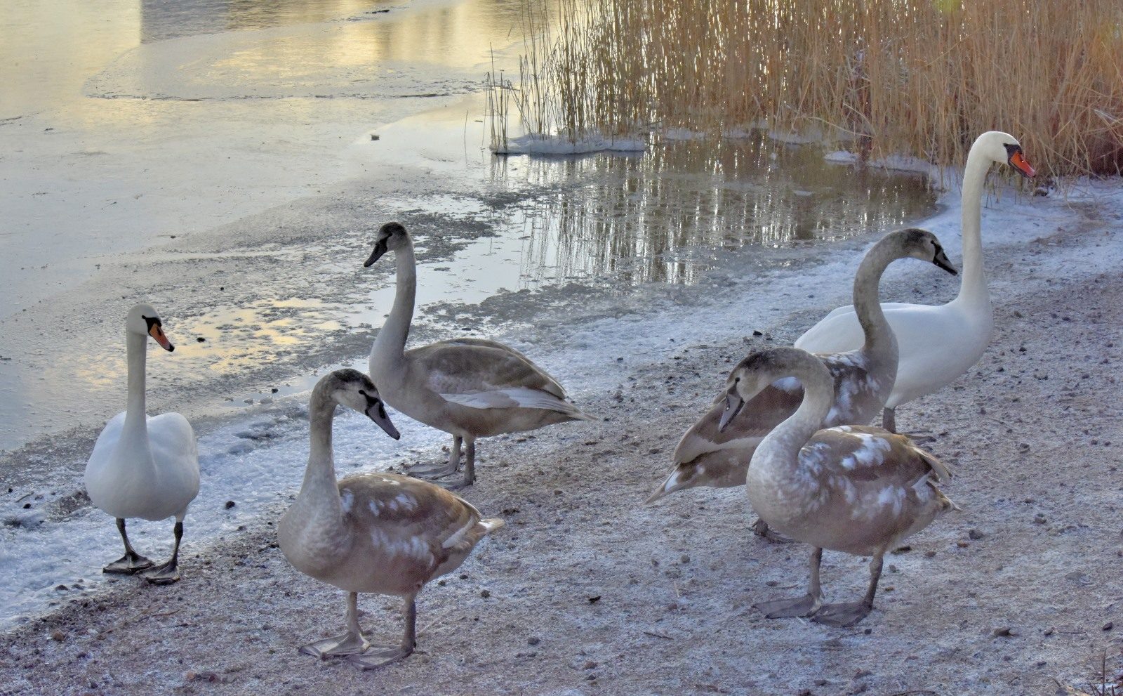 Valokuvaaja: Reijo Juurinen Valokuvaaja: Reijo Juurinen