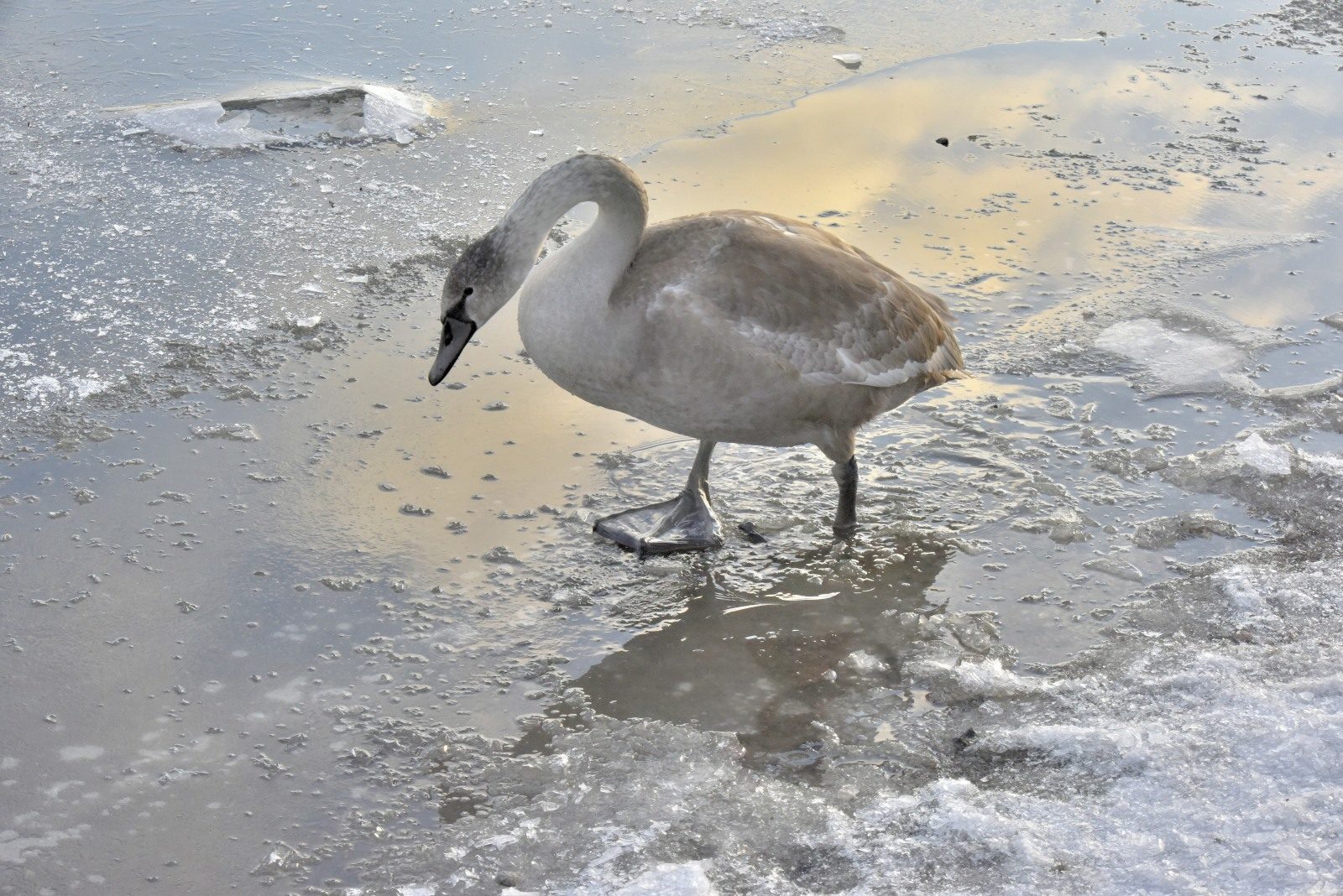Valokuvaaja: Reijo Juurinen