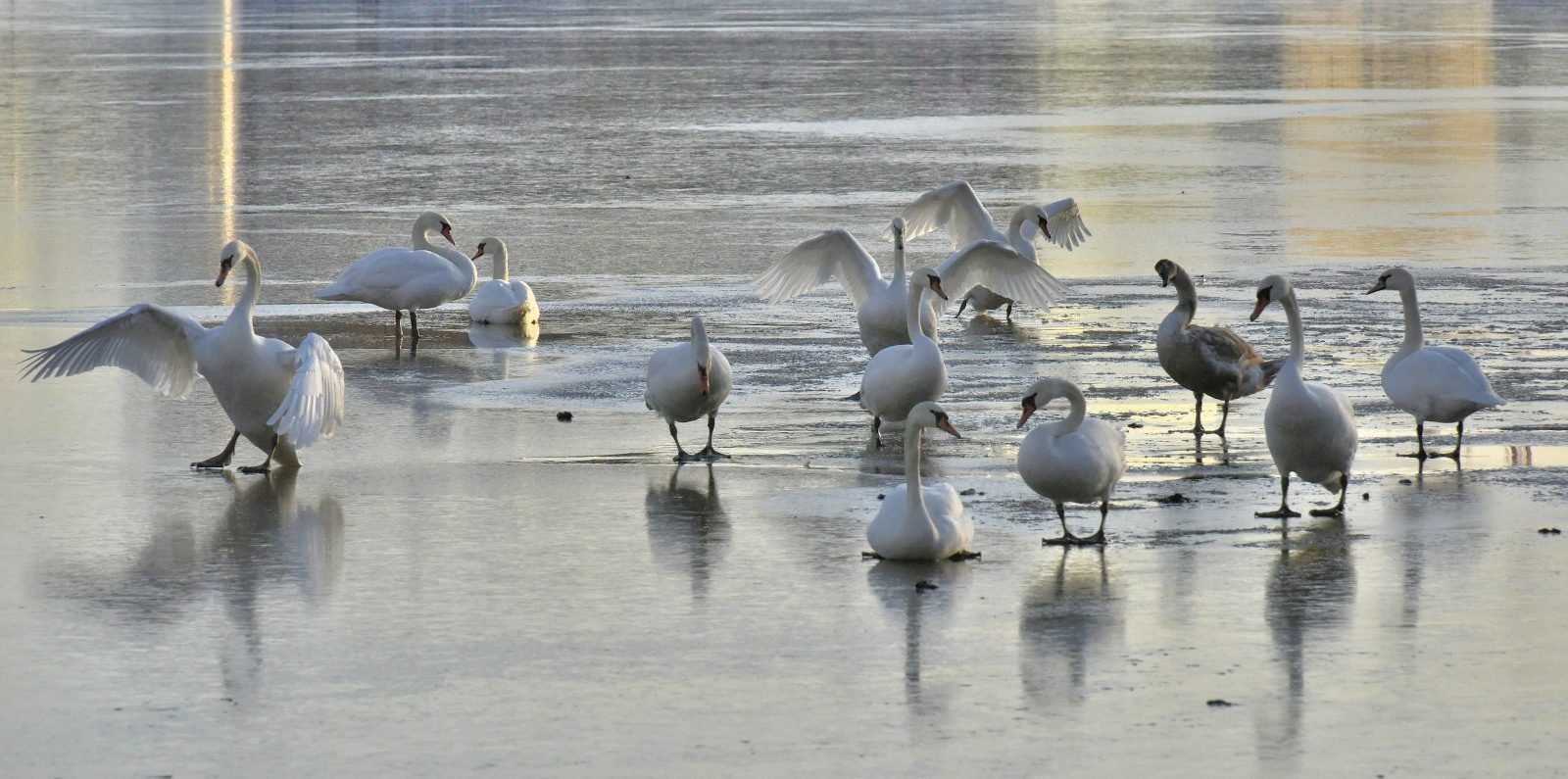 Valokuvaaja: Reijo Juurinen