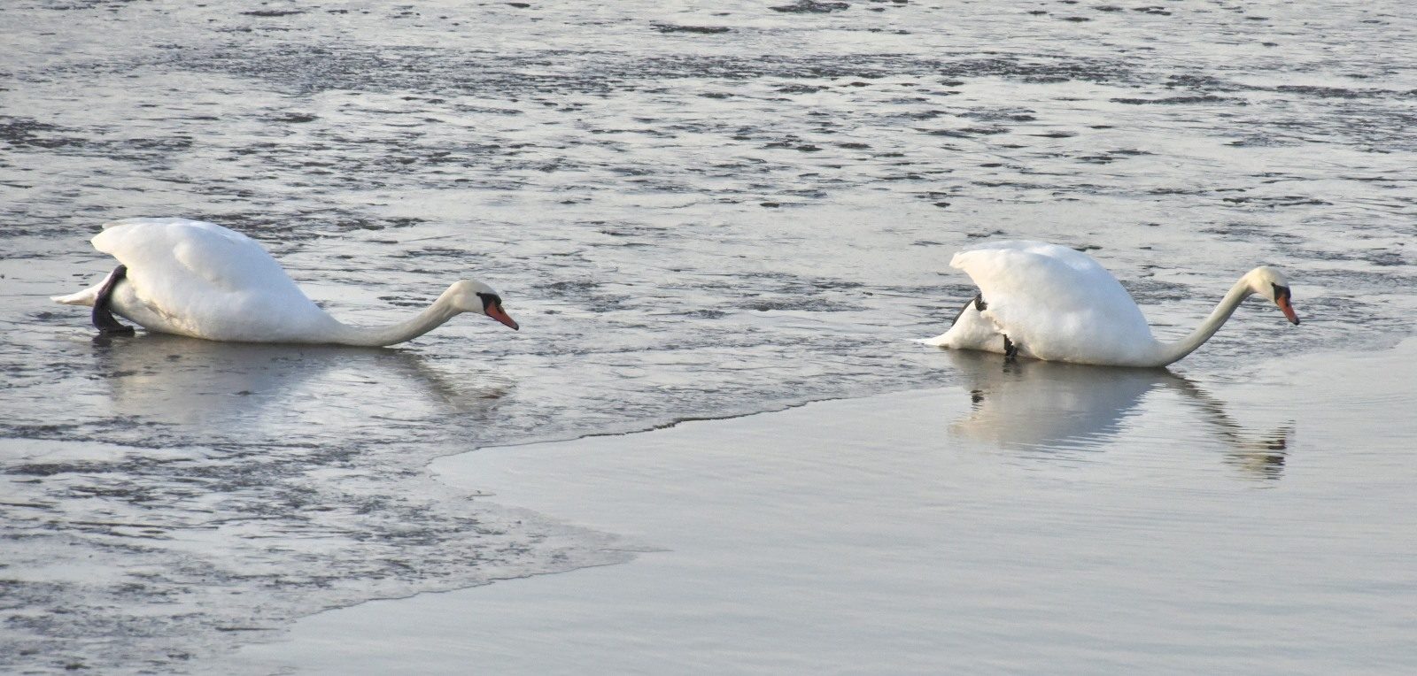 Valokuvaaja: Reijo Juurinen
