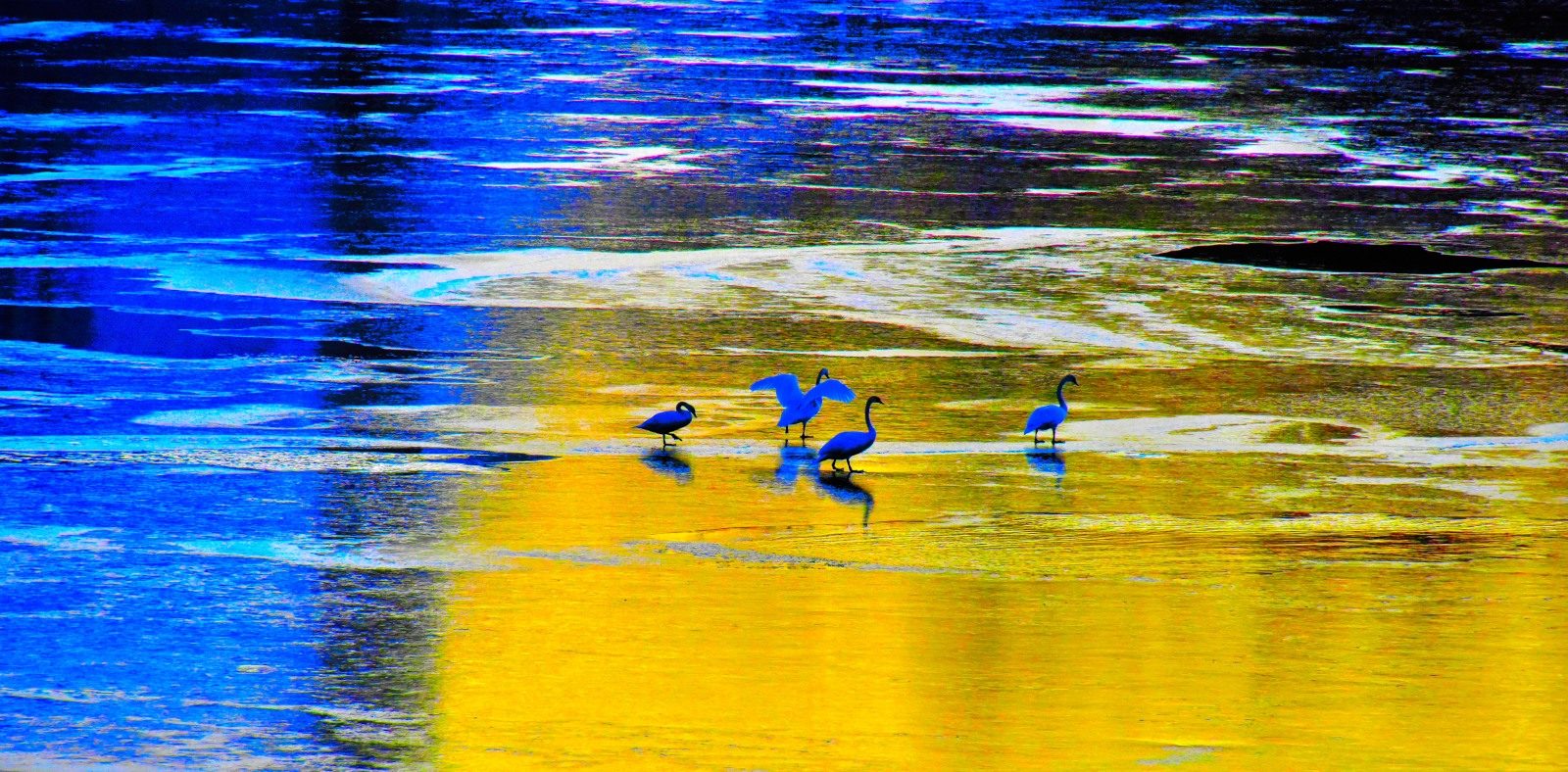 Valokuvaaja: Reijo Juurinen