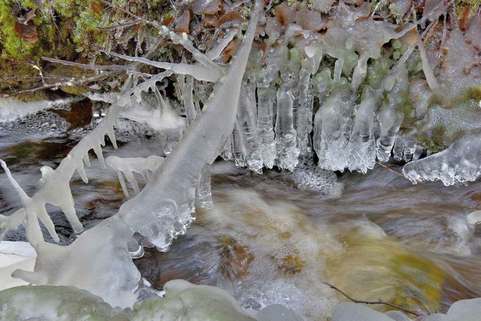 Valokuvaaja: Reijo Juurinen