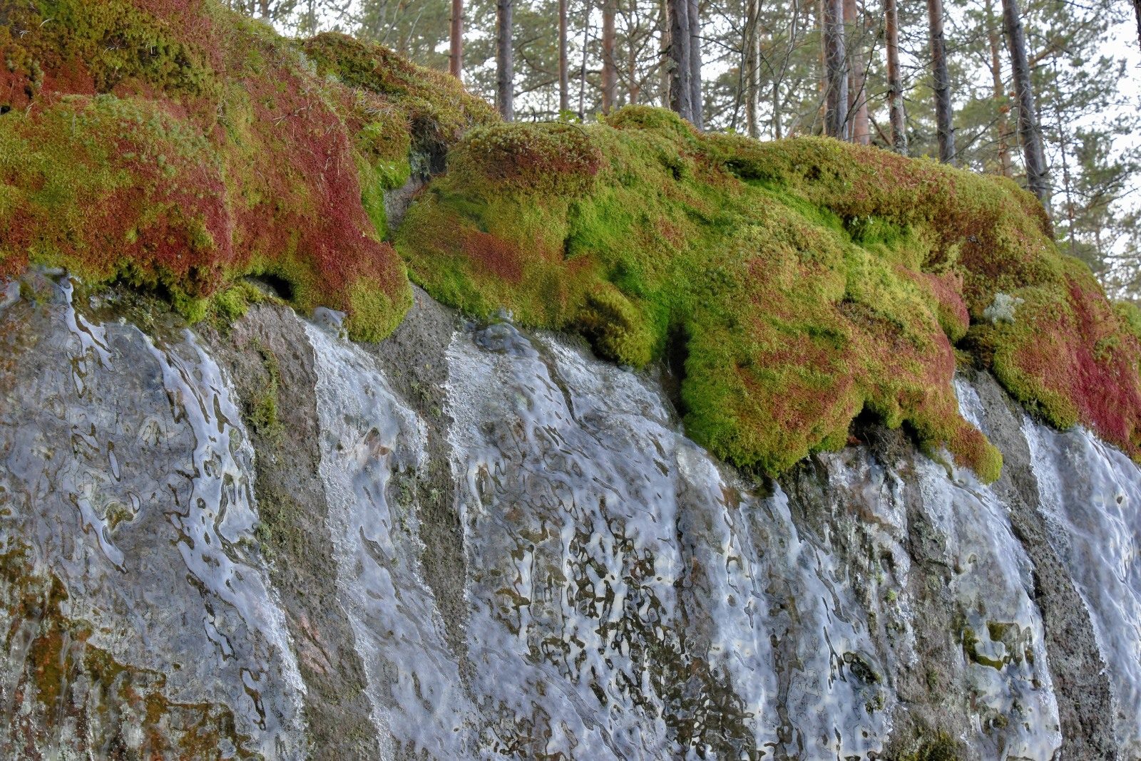 Valokuvaaja: Reijo Juurinen