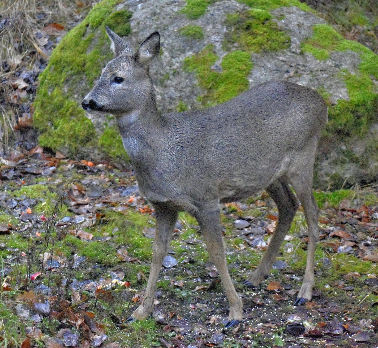 Valokuvaaja: Reijo Juurinen