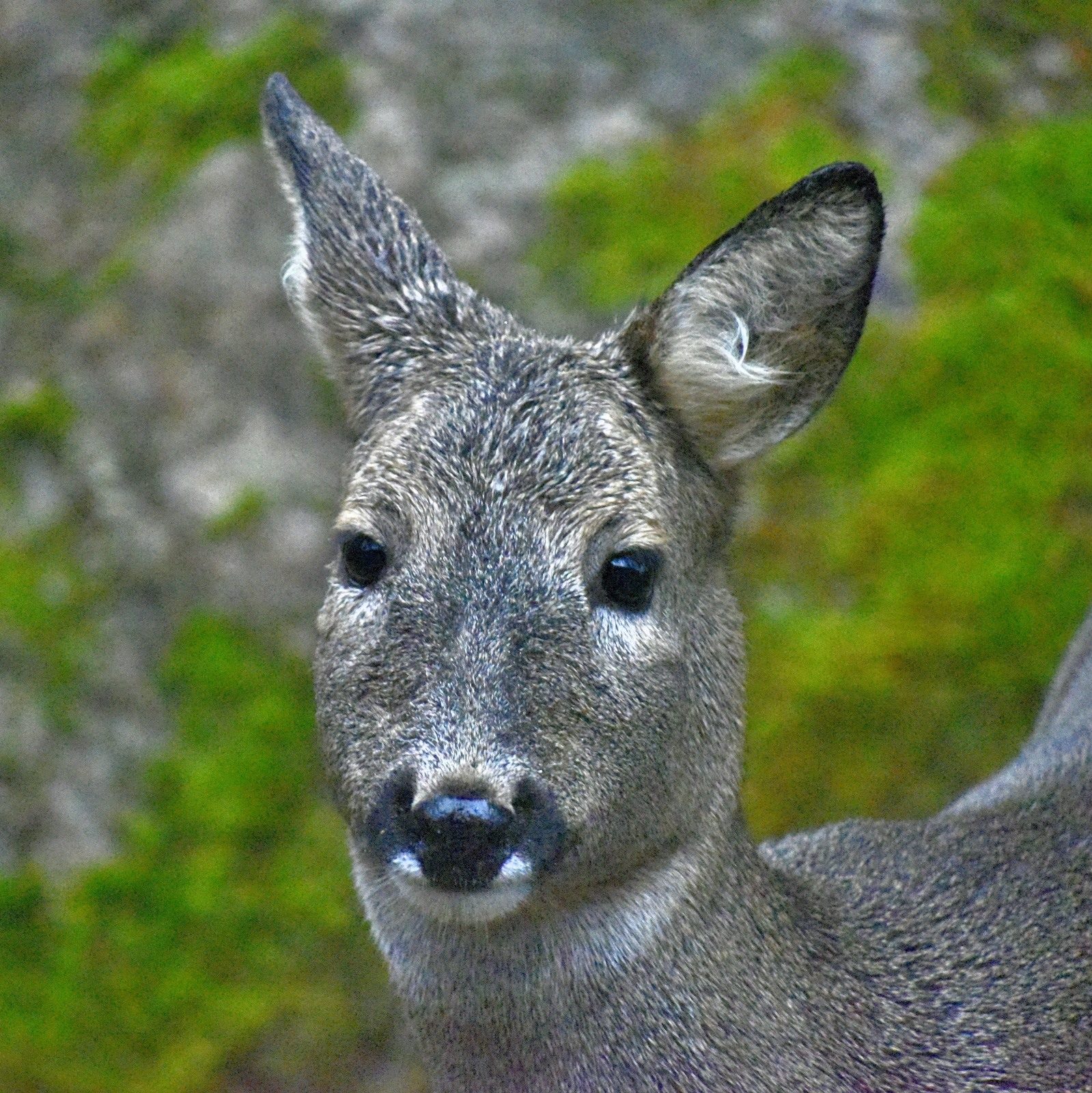 Valokuvaaja: Reijo Juurinen