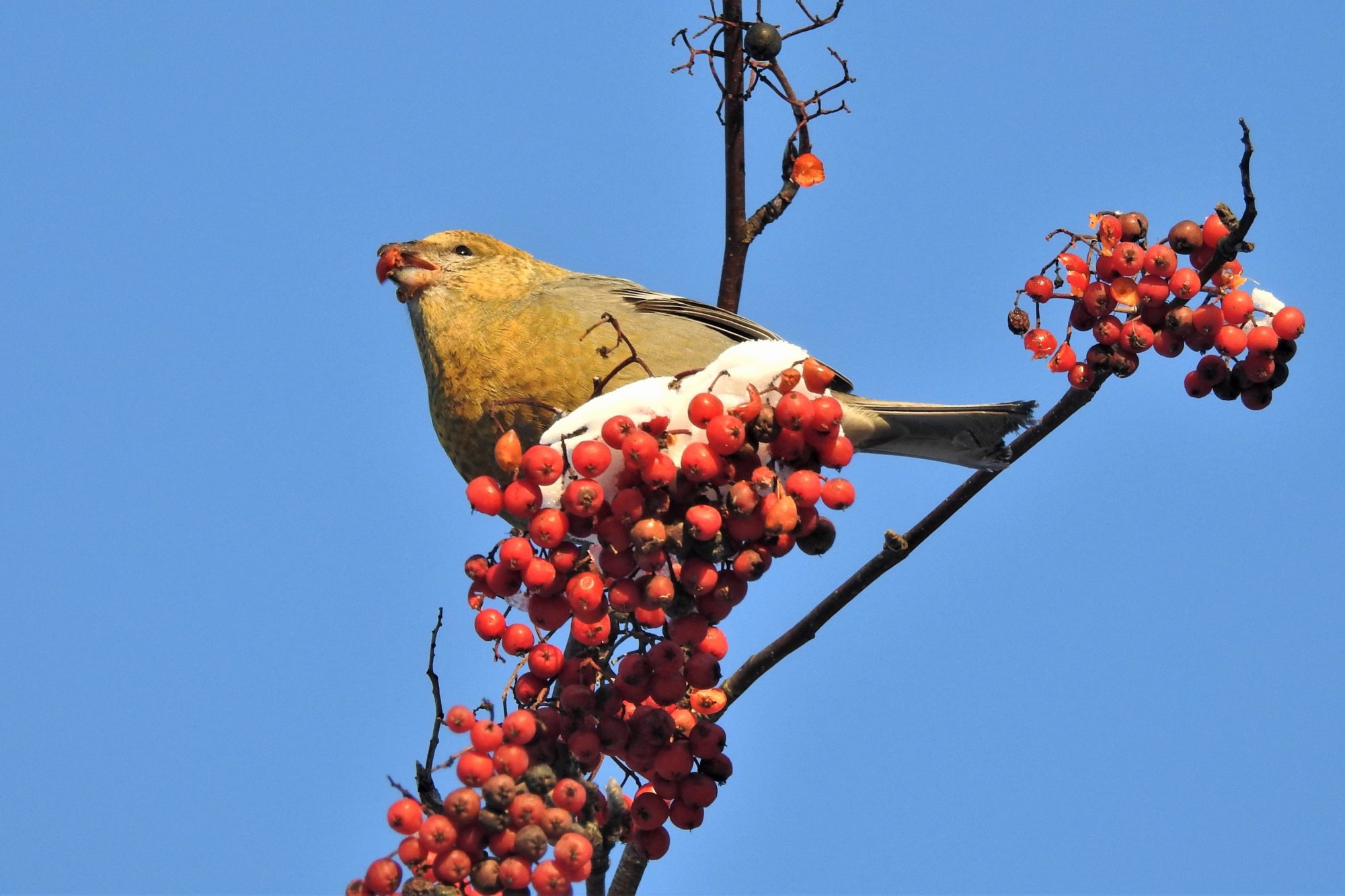Valokuvaaja: Maarit Siitonen