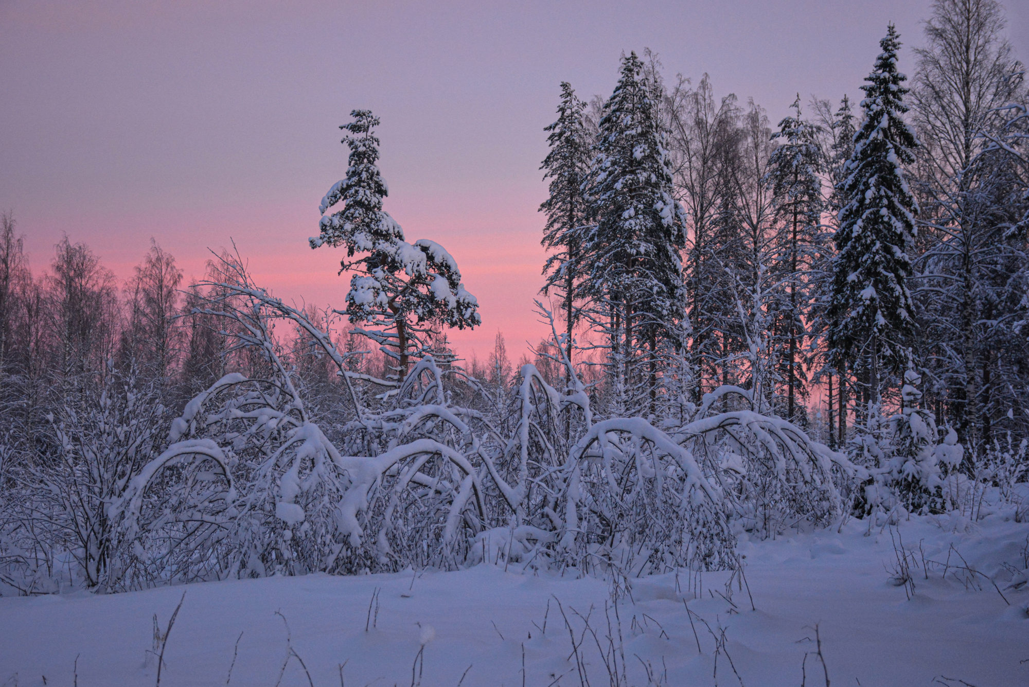 Valokuvaaja: Maija Savolainen