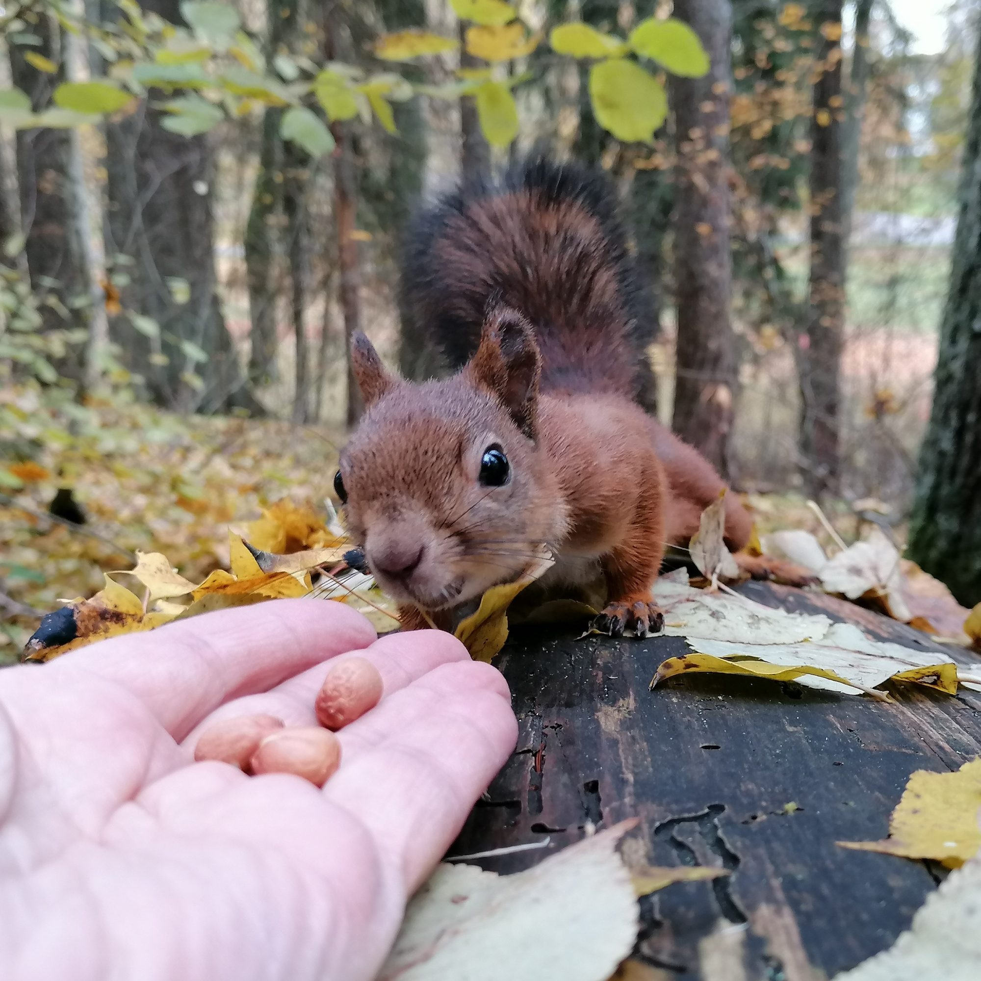 Valokuvaaja: Riitta Marjamäki