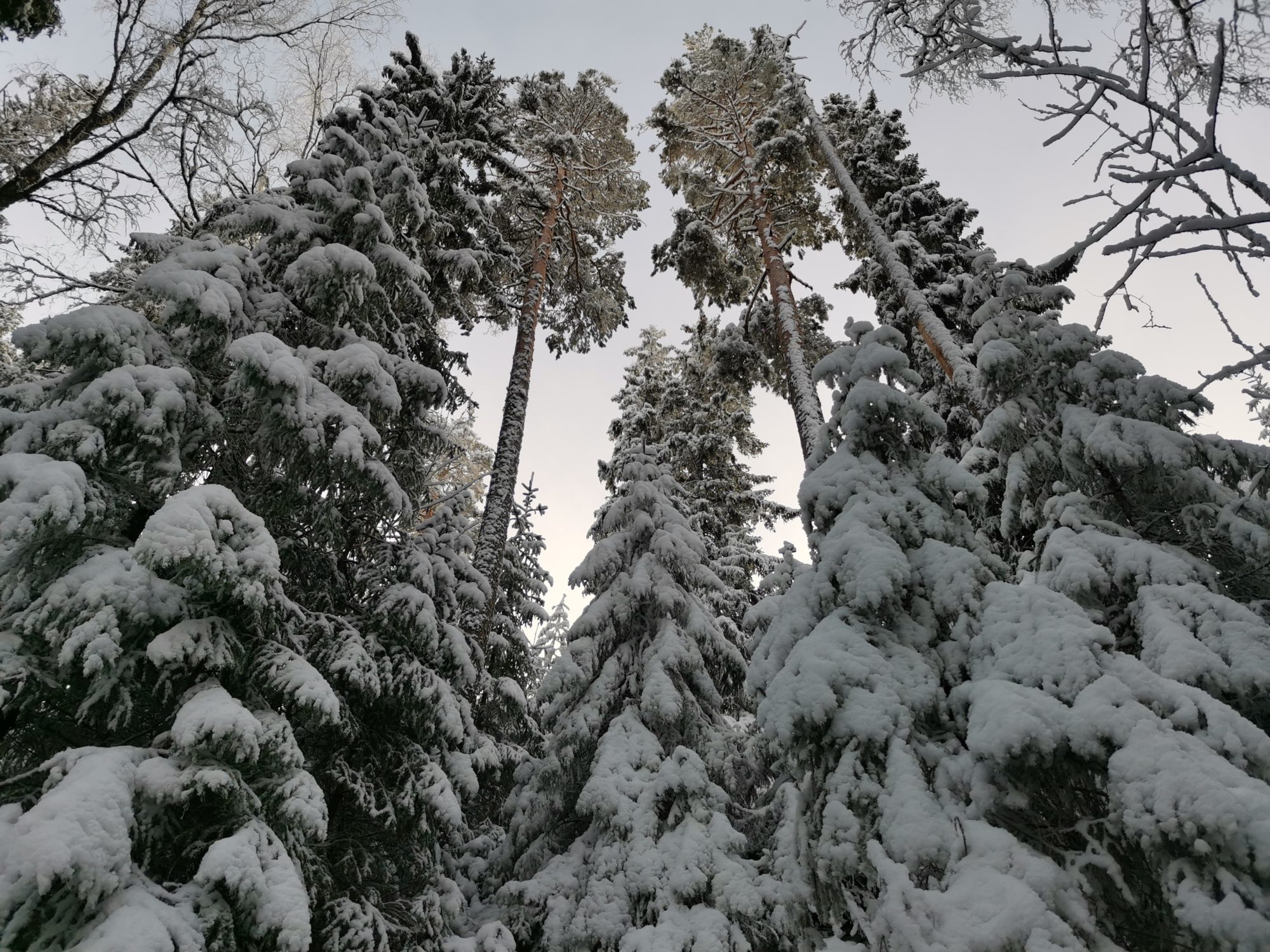Valokuvaaja: Tapio Keinonen