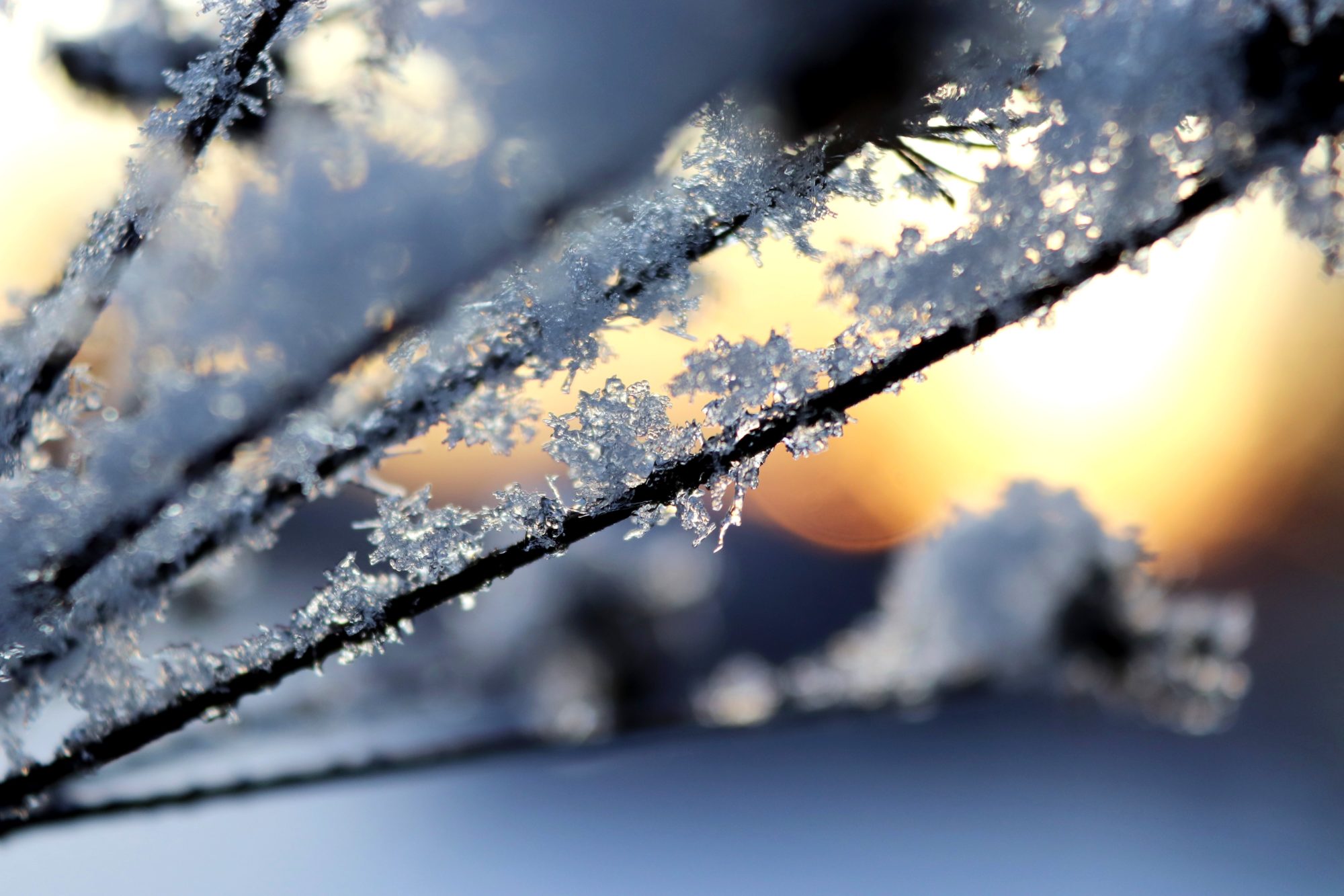 Valokuvaaja: Irja Lehtinen