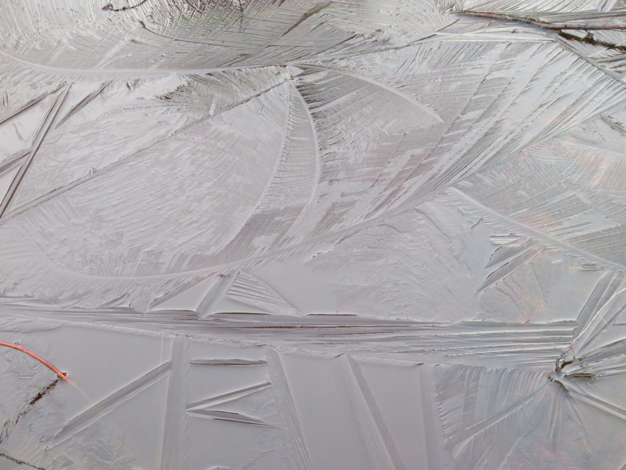 Valokuvaaja: Risto Kangassalo