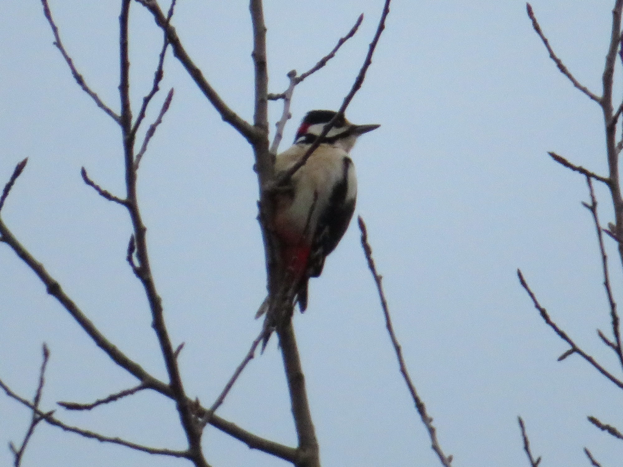 Valokuvaaja: Risto Kangassalo