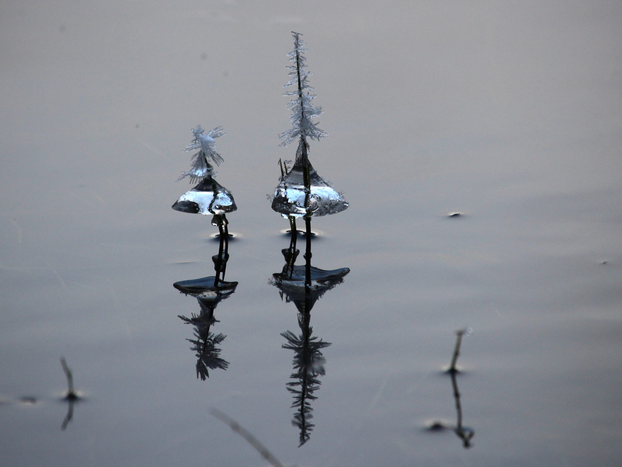 Valokuvaaja: Marjo Jalonen