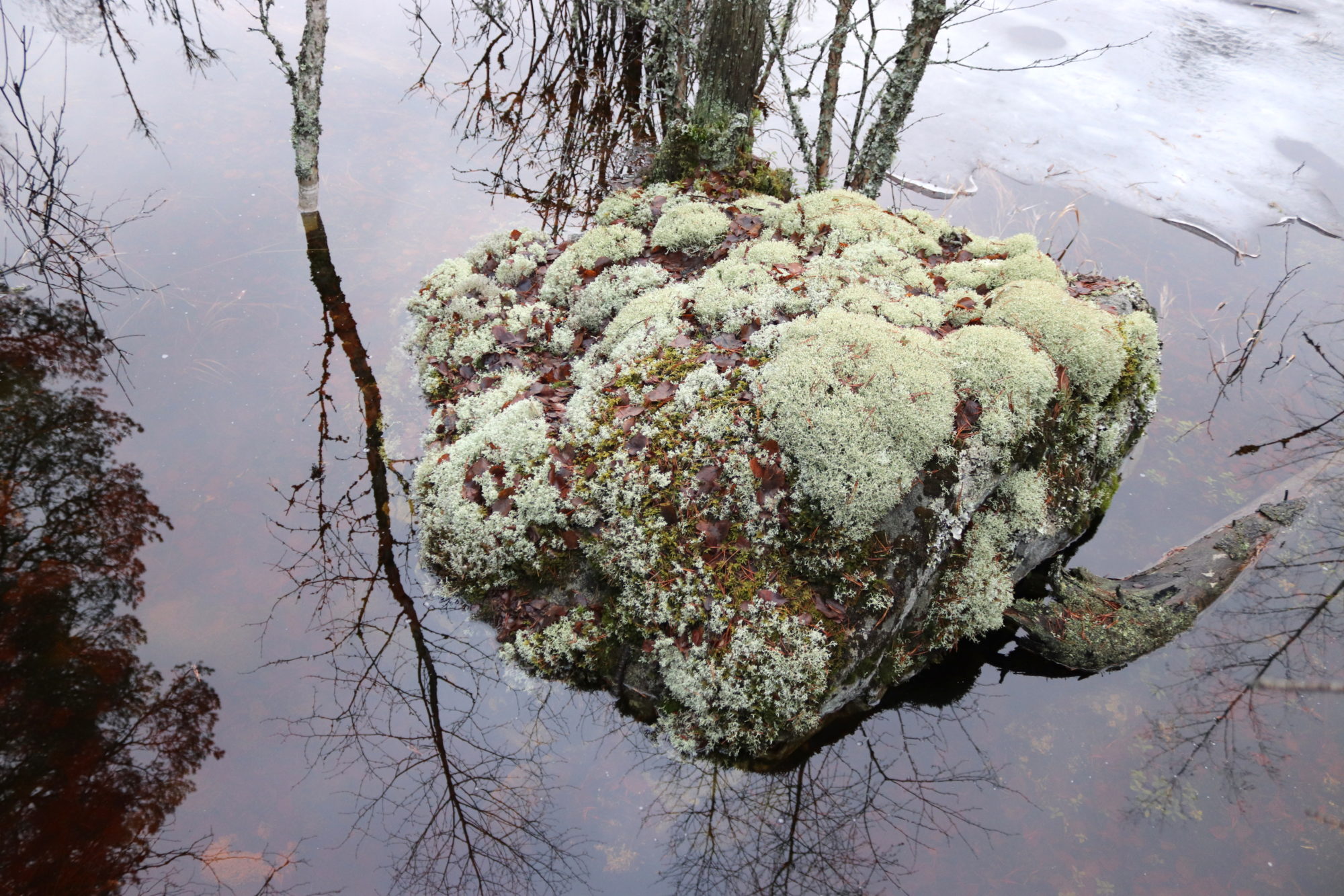 Valokuvaaja: Irja Lehtinen