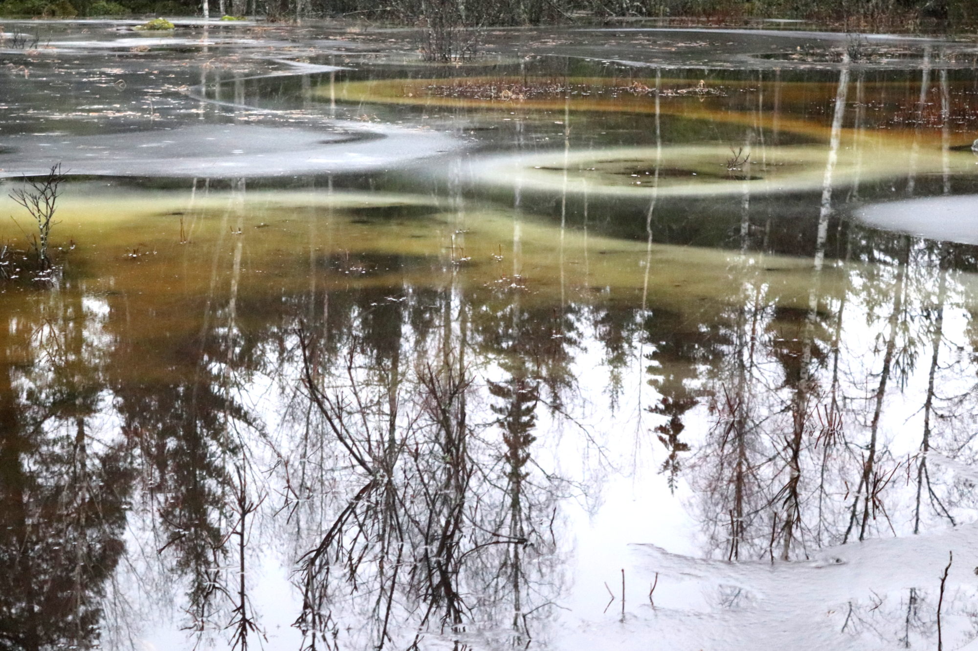 Valokuvaaja: Irja Lehtinen