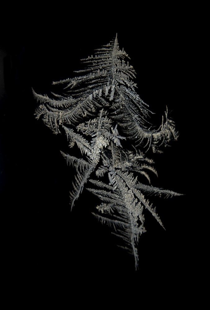 Valokuvaaja: Jouko Varonen