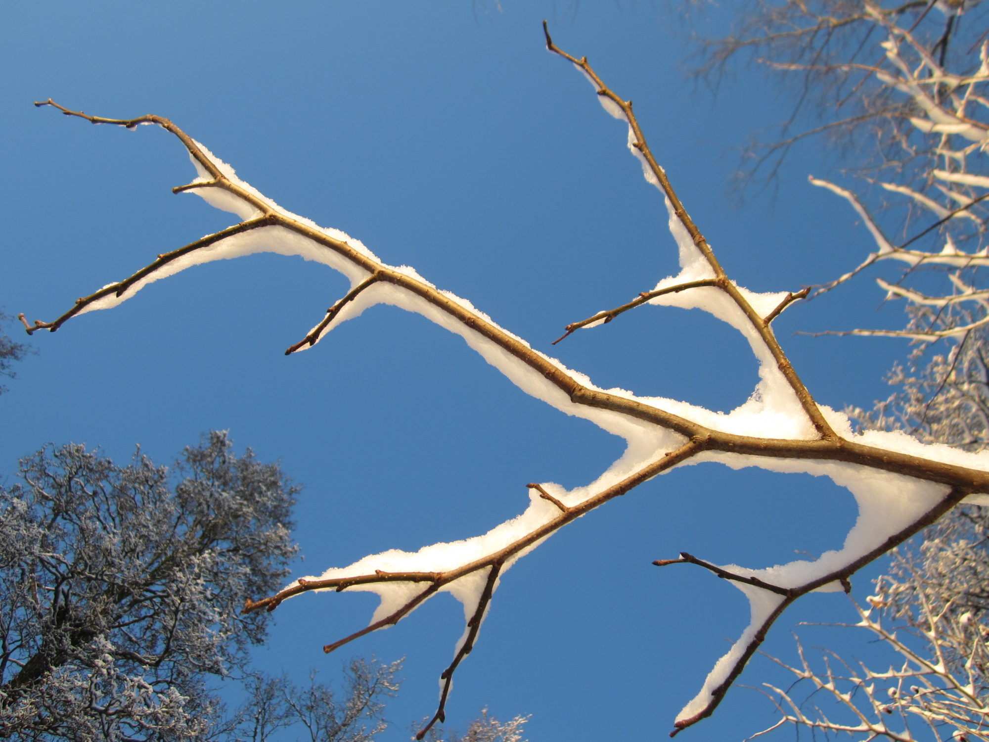 Valokuvaaja: Marita Portin Valokuvaaja: Marita Portin