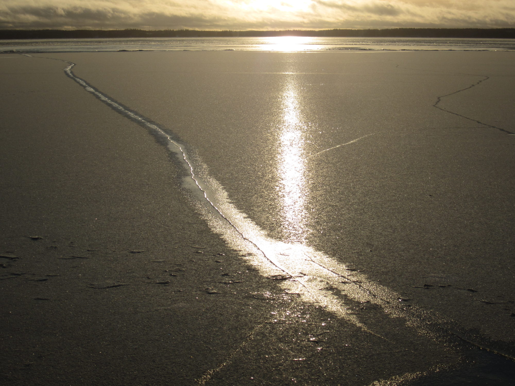 Valokuvaaja: Marita Portin