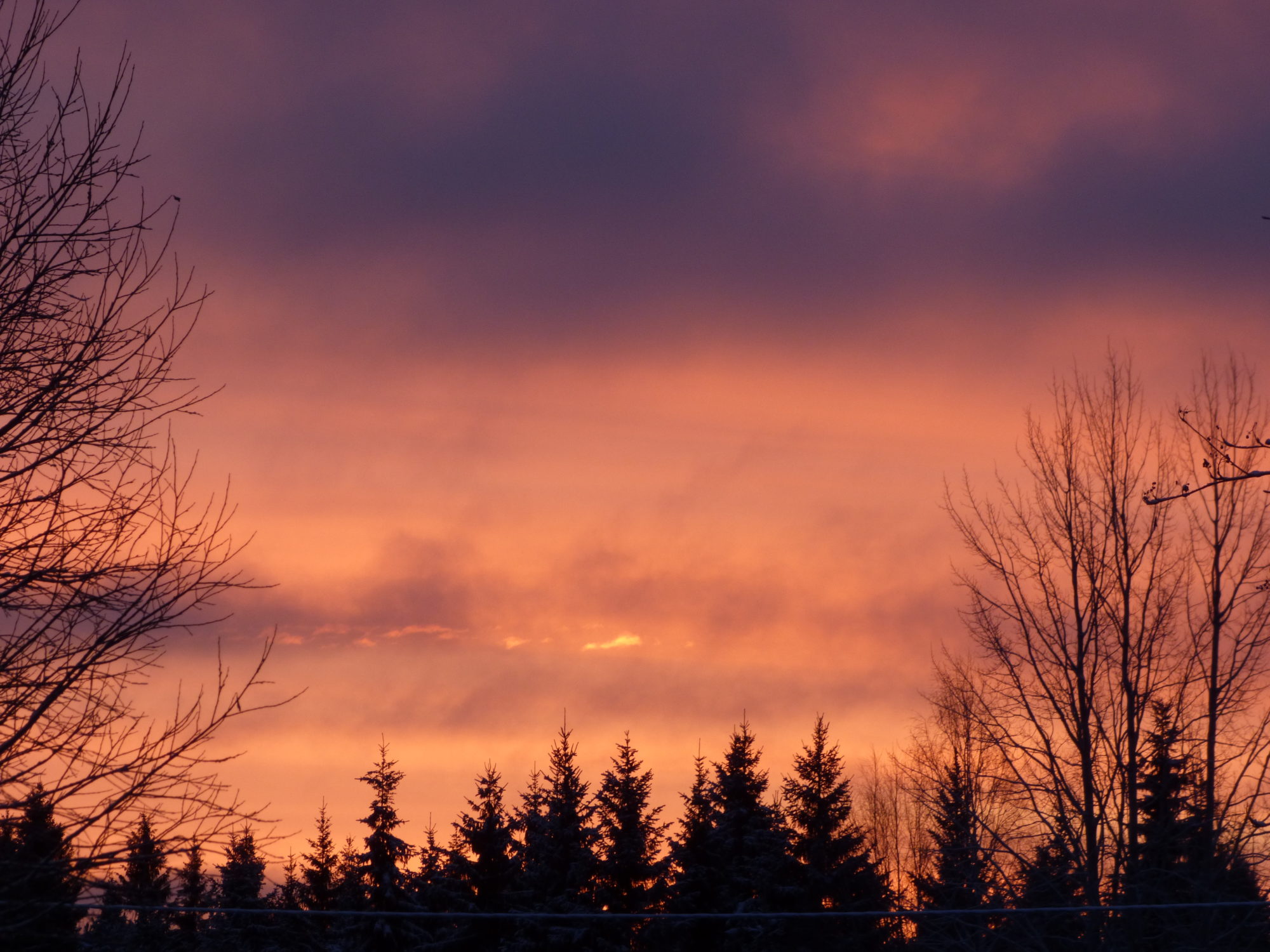 Valokuvaaja: Hannu Rissanen