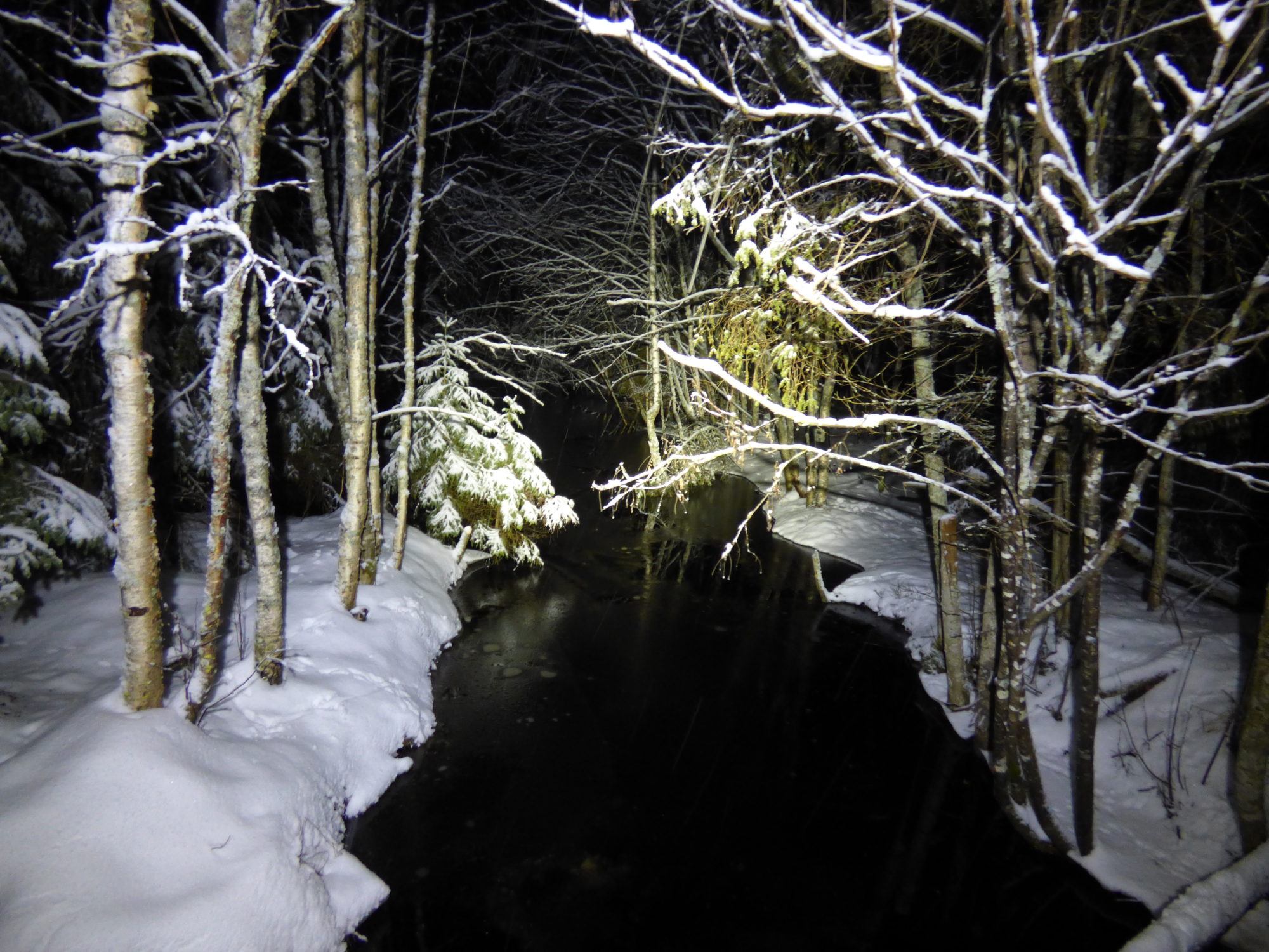 Valokuvaaja: Hannu Rissanen