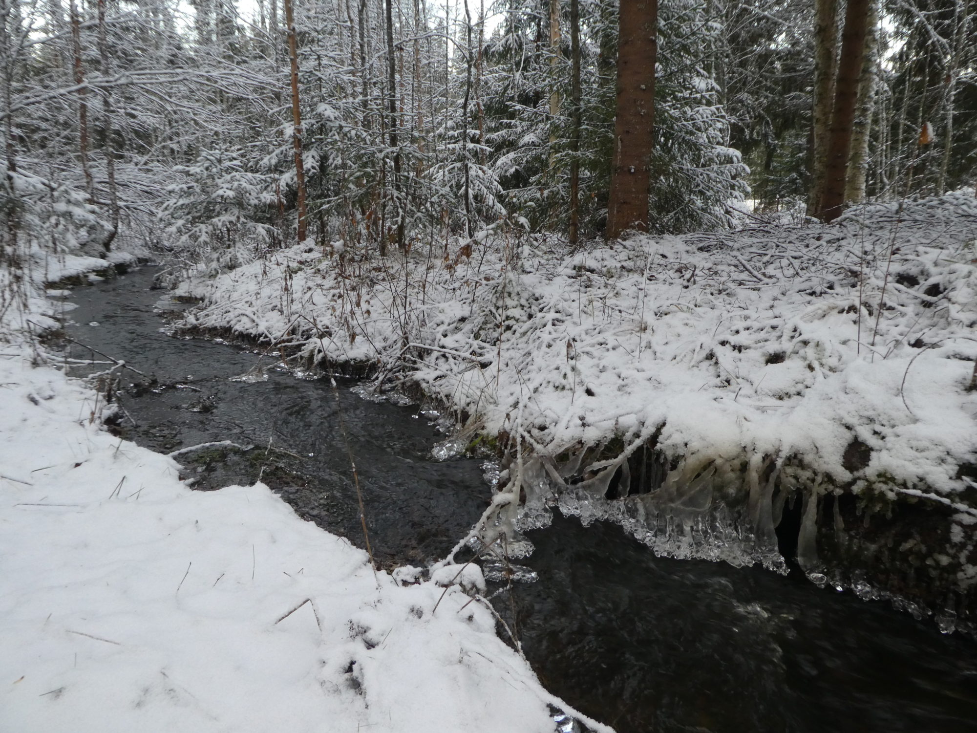 Valokuvaaja: Anja Mustamaa