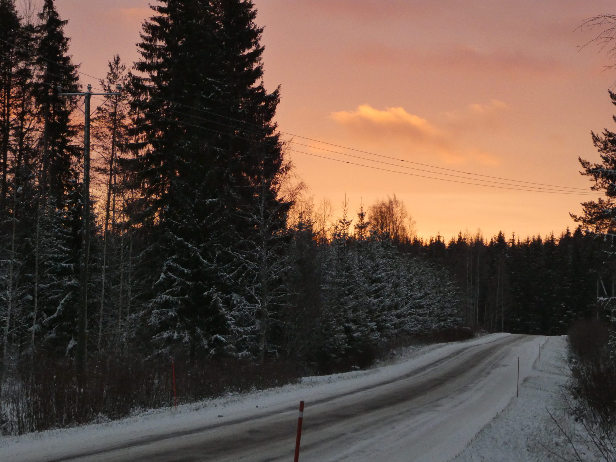 Valokuvaaja: Anja Mustamaa