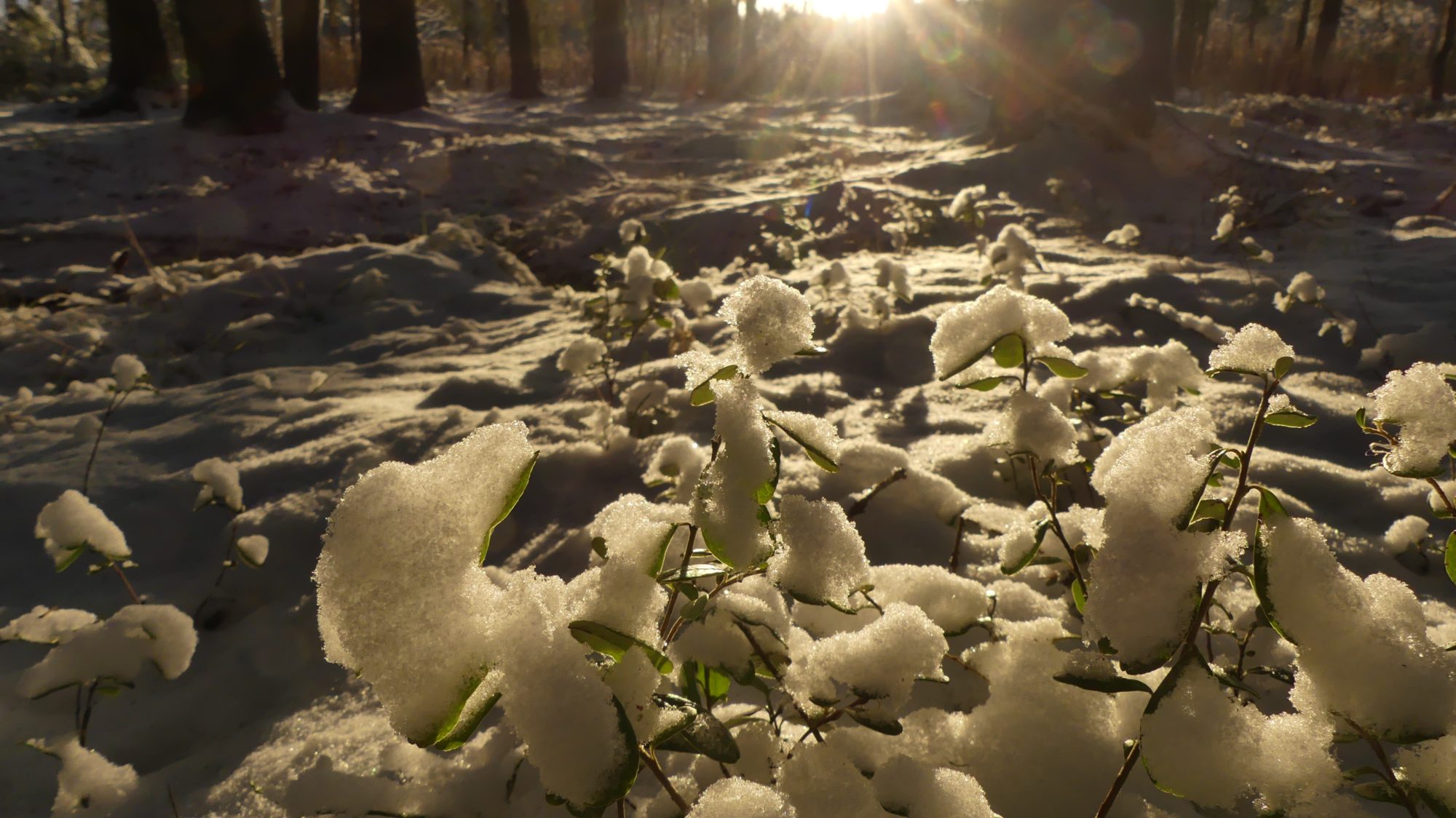 Valokuvaaja: Martti Valtonen