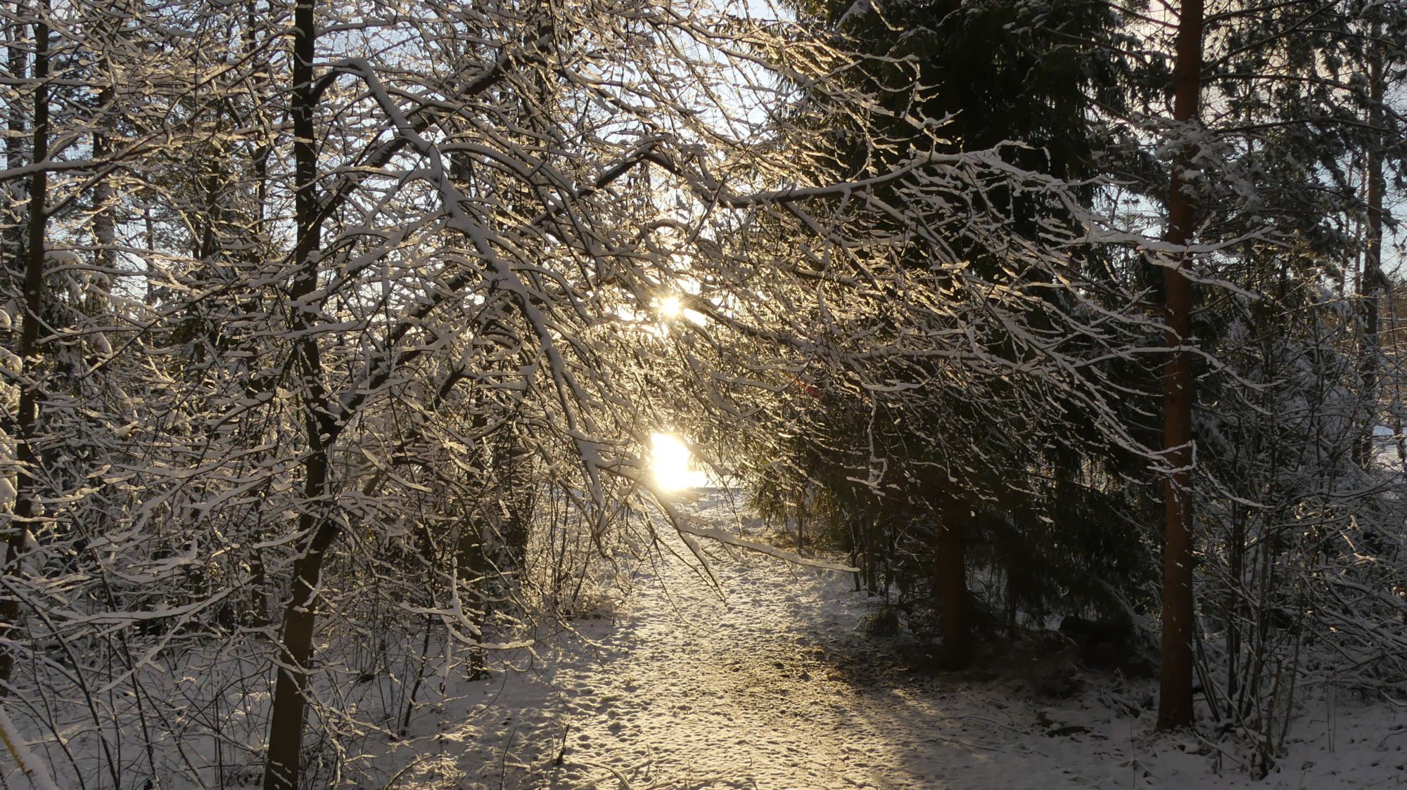 Valokuvaaja: Martti Valtonen