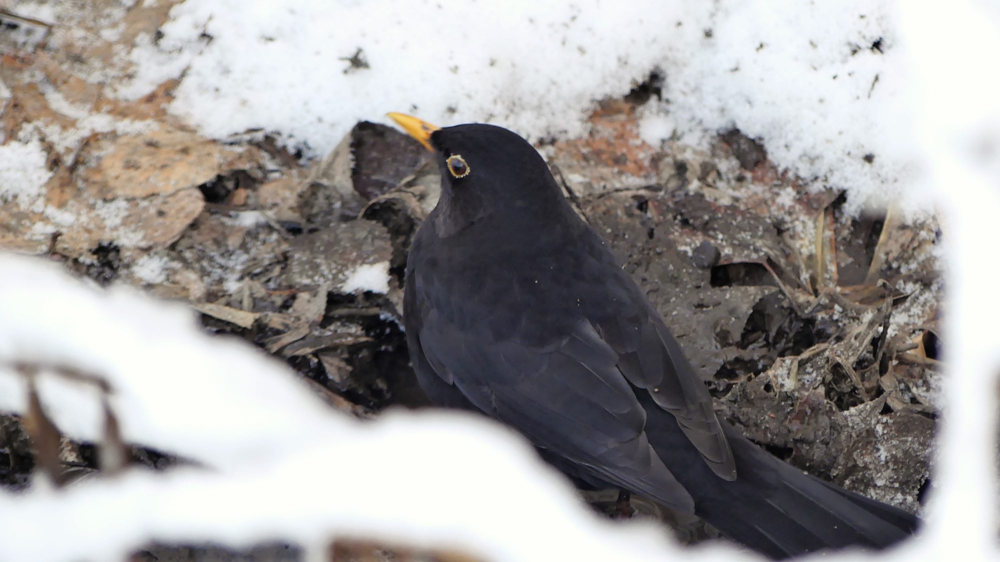 Valokuvaaja: Martti Valtonen