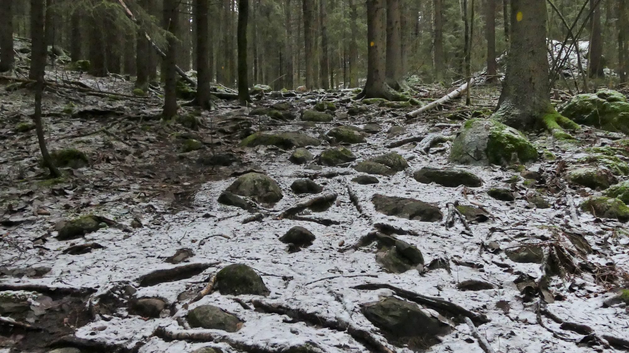 Valokuvaaja: Martti Valtonen