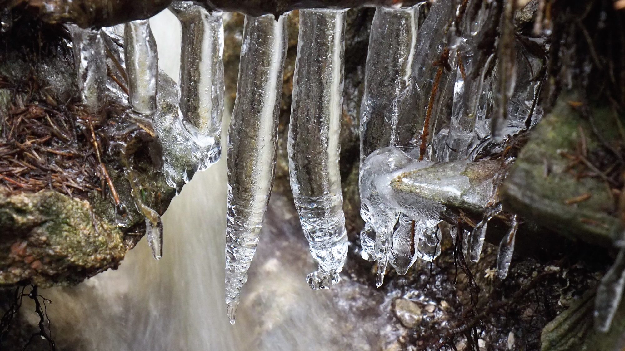 Valokuvaaja: Arja Valtonen