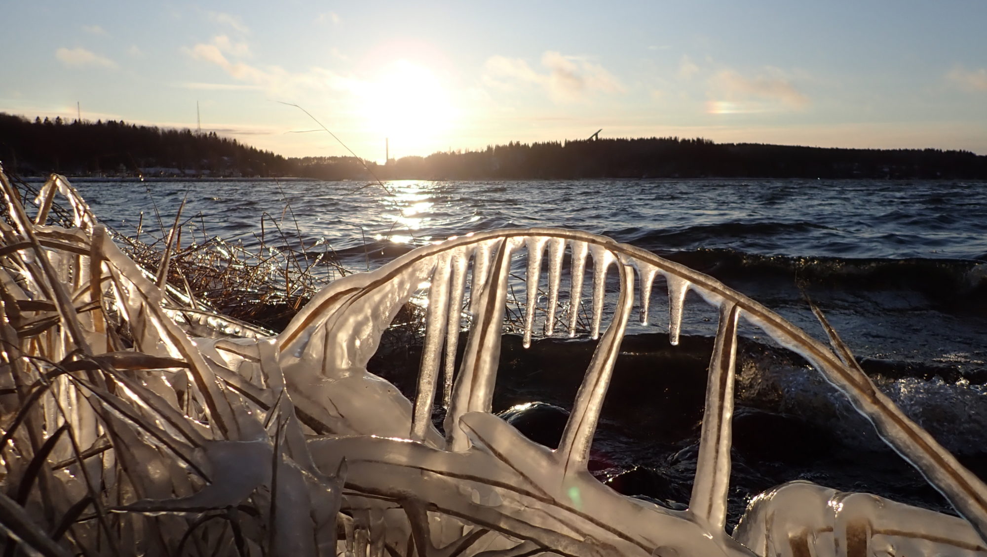 Valokuvaaja: Soili Vesanen