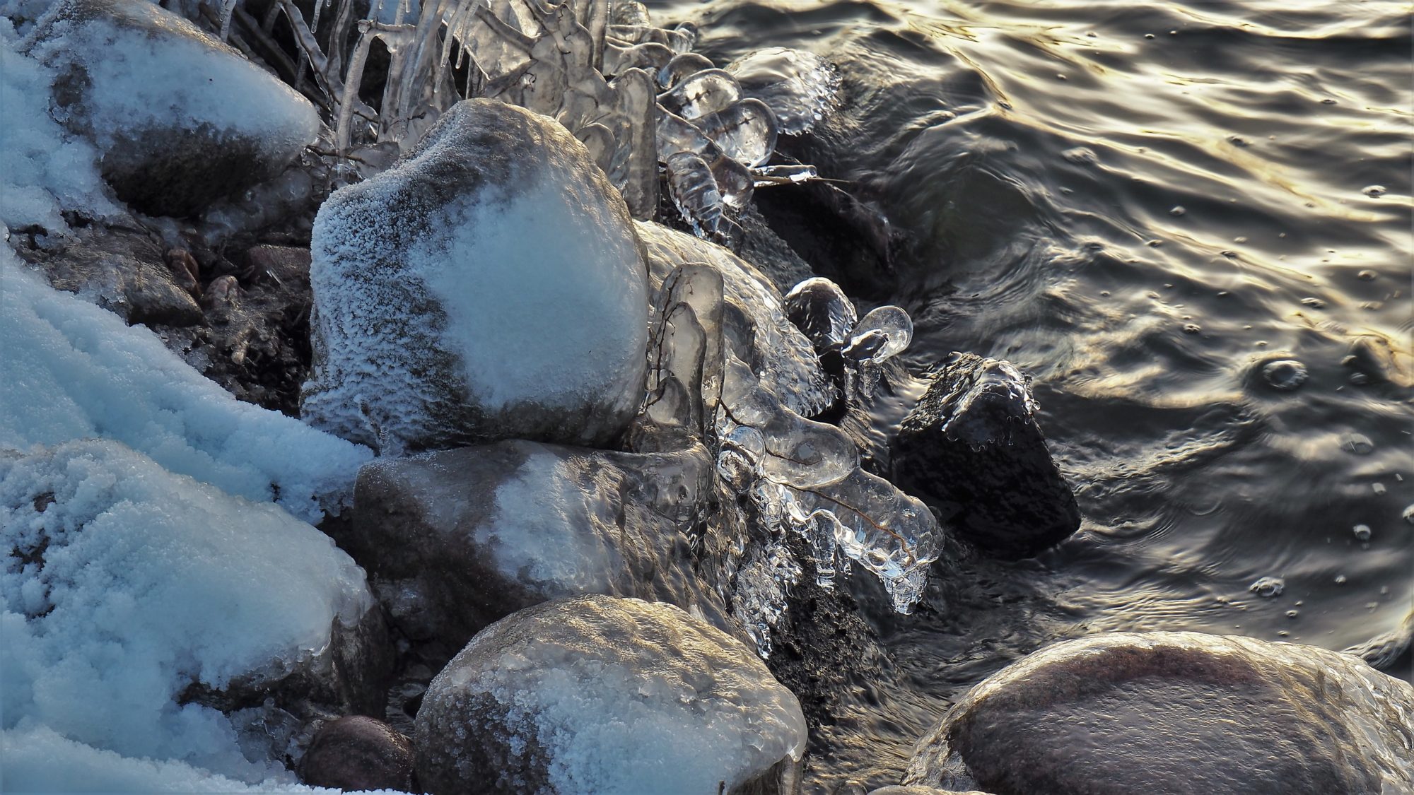 Valokuvaaja: Arja Valtonen