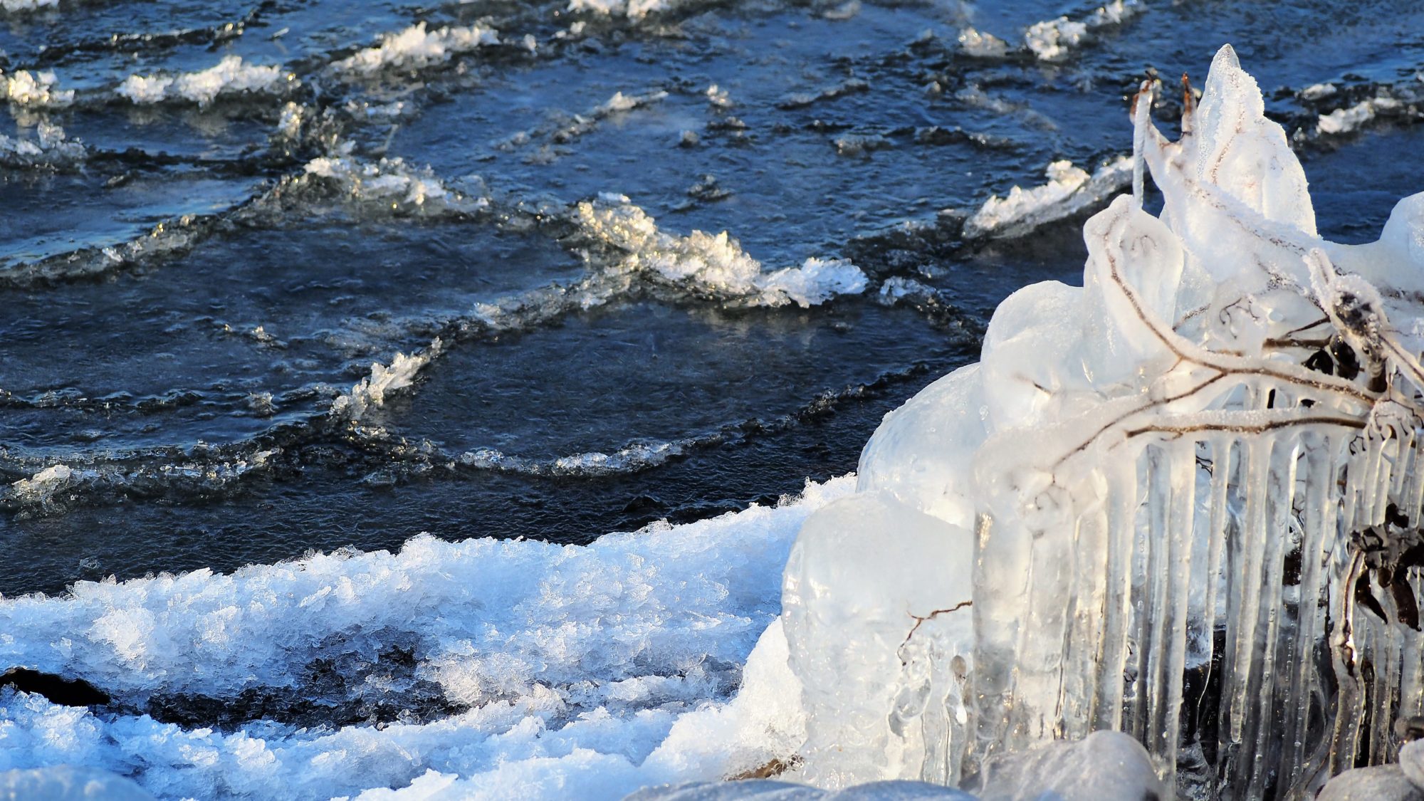 Valokuvaaja: Arja Valtonen Valokuvaaja: Arja Valtonen