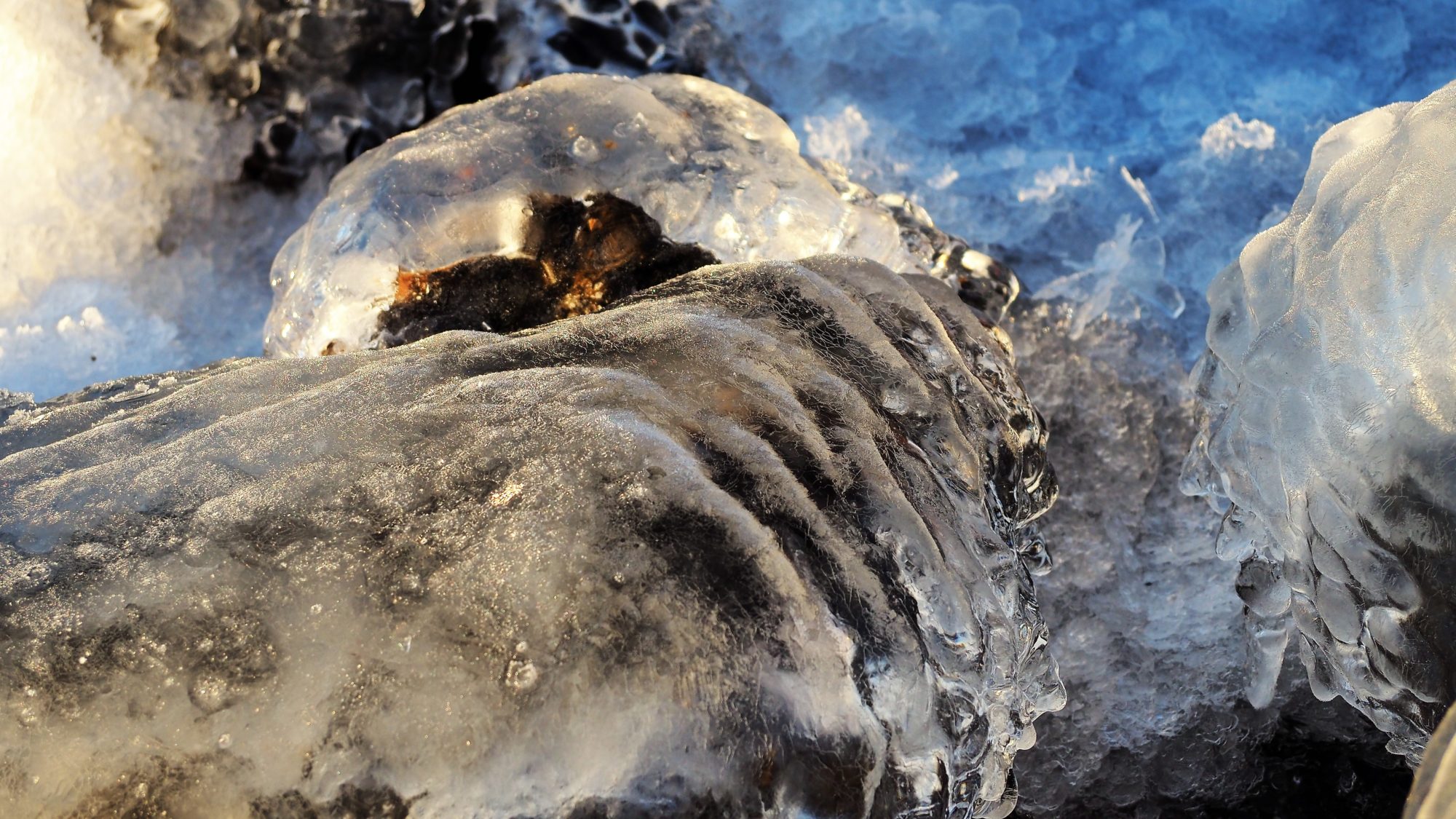 Valokuvaaja: Arja Valtonen