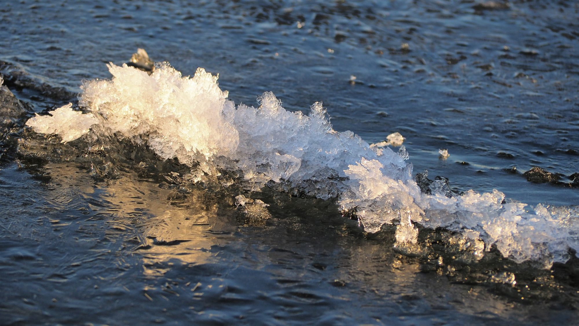 Valokuvaaja: Arja Valtonen Valokuvaaja: Arja Valtonen