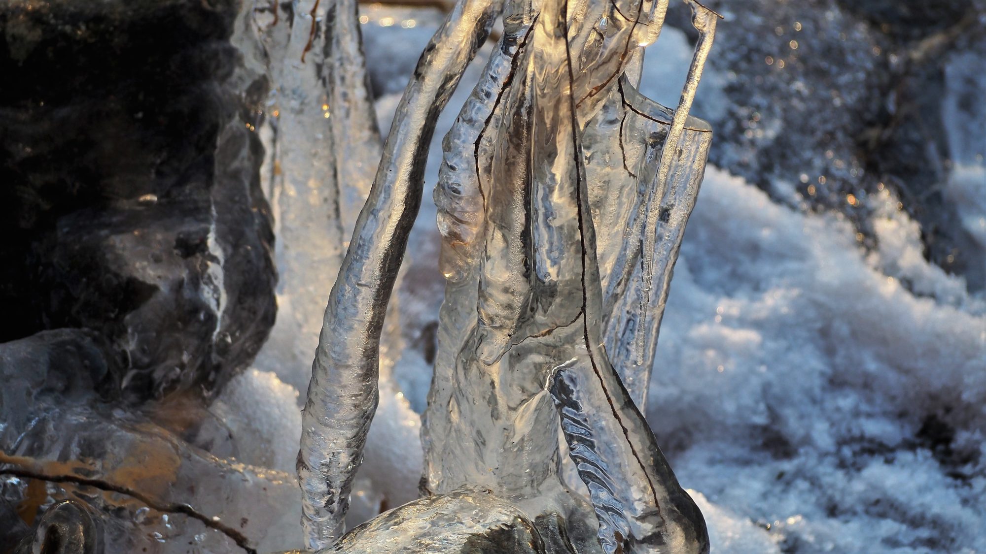 Valokuvaaja: Arja Valtonen