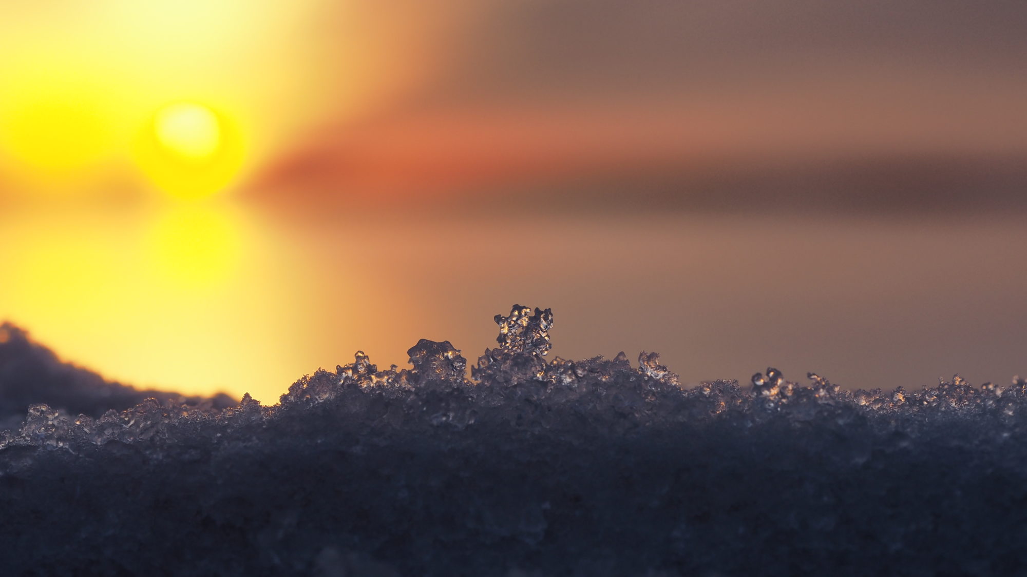 Valokuvaaja: Arja Valtonen