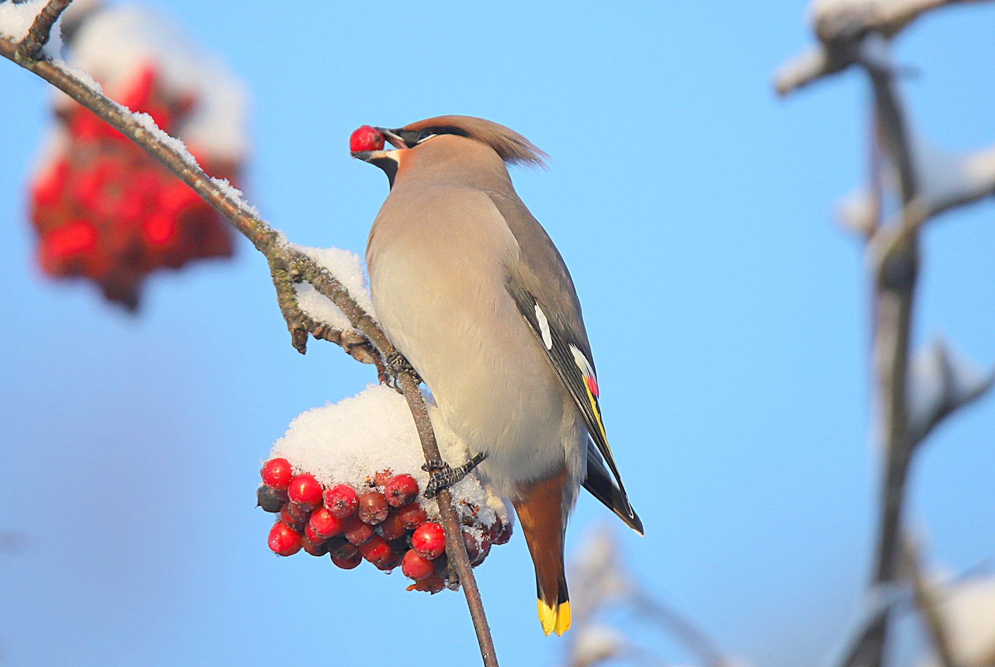Valokuvaaja: sirpa jyske