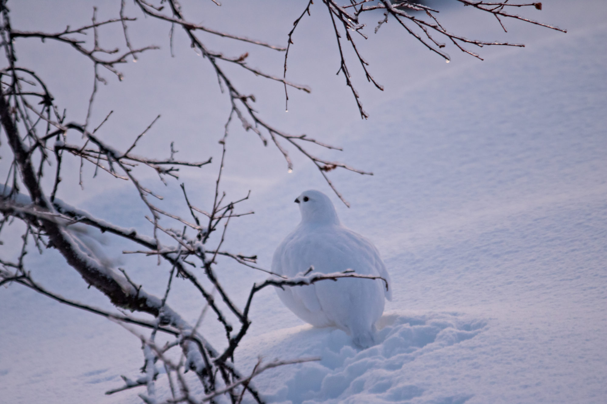 Valokuvaaja: Katri Niskanen