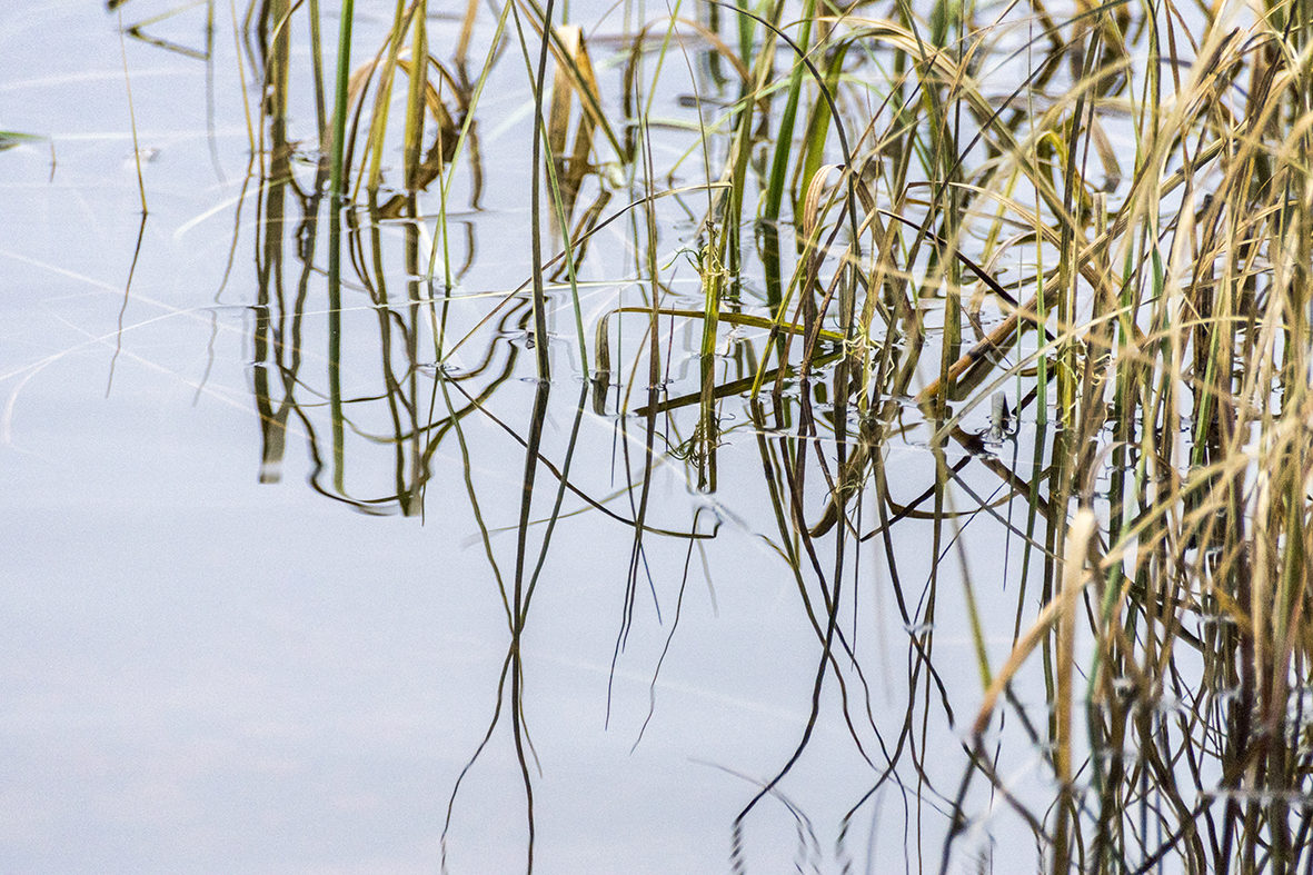 Valokuvaaja: Ivan Wistuba