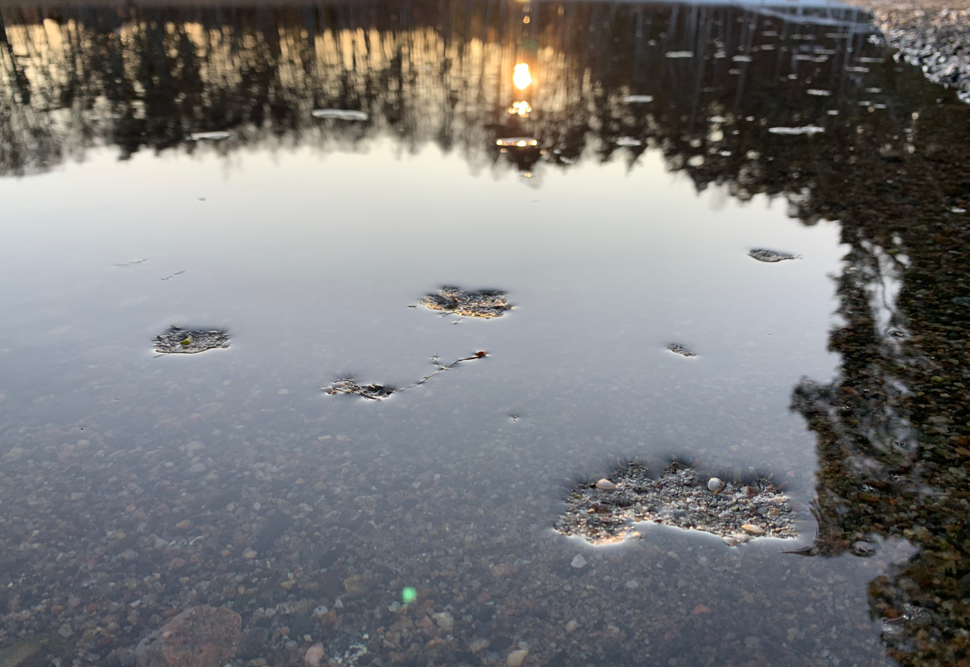 Valokuvaaja: Jarkko Nääs