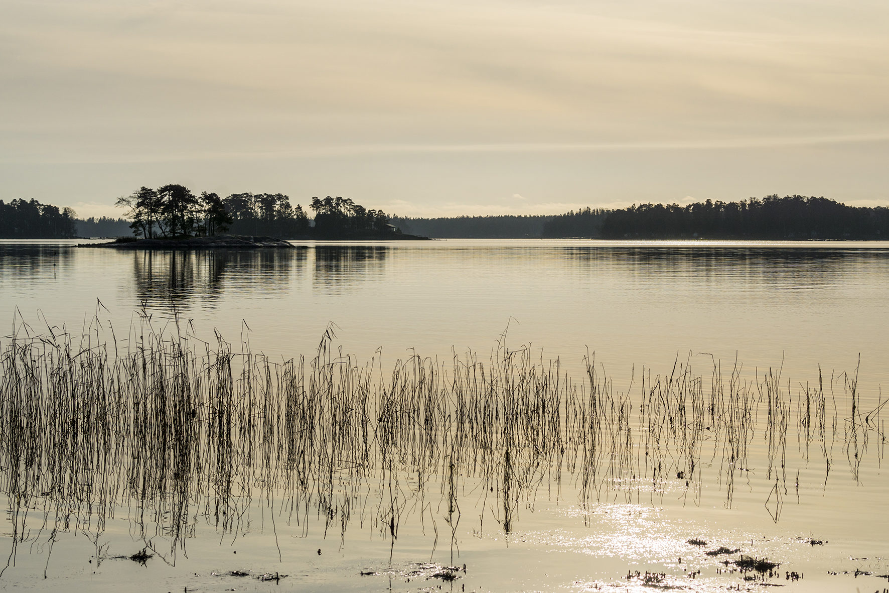 Valokuvaaja: Ivan Wistuba