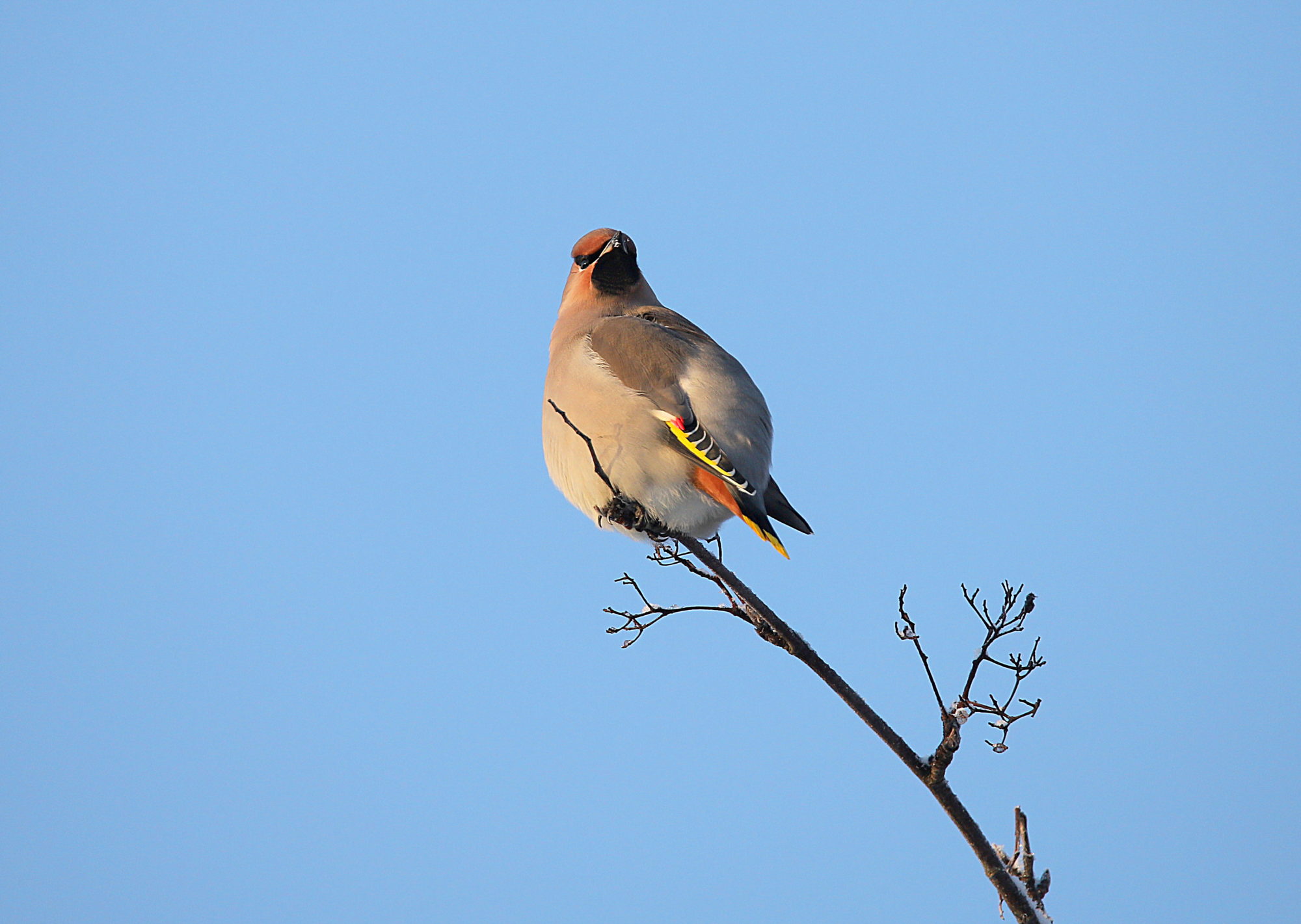 Valokuvaaja: sirpa jyske