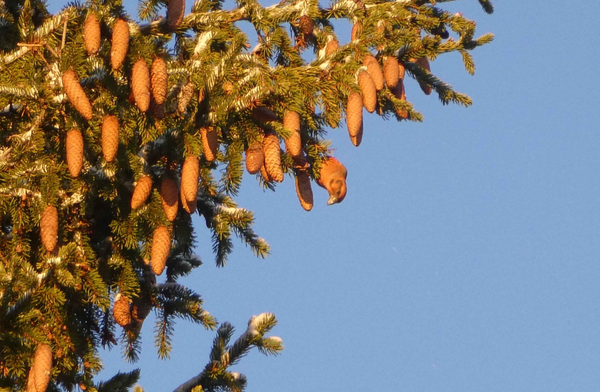 Valokuvaaja: Anja Mustamaa