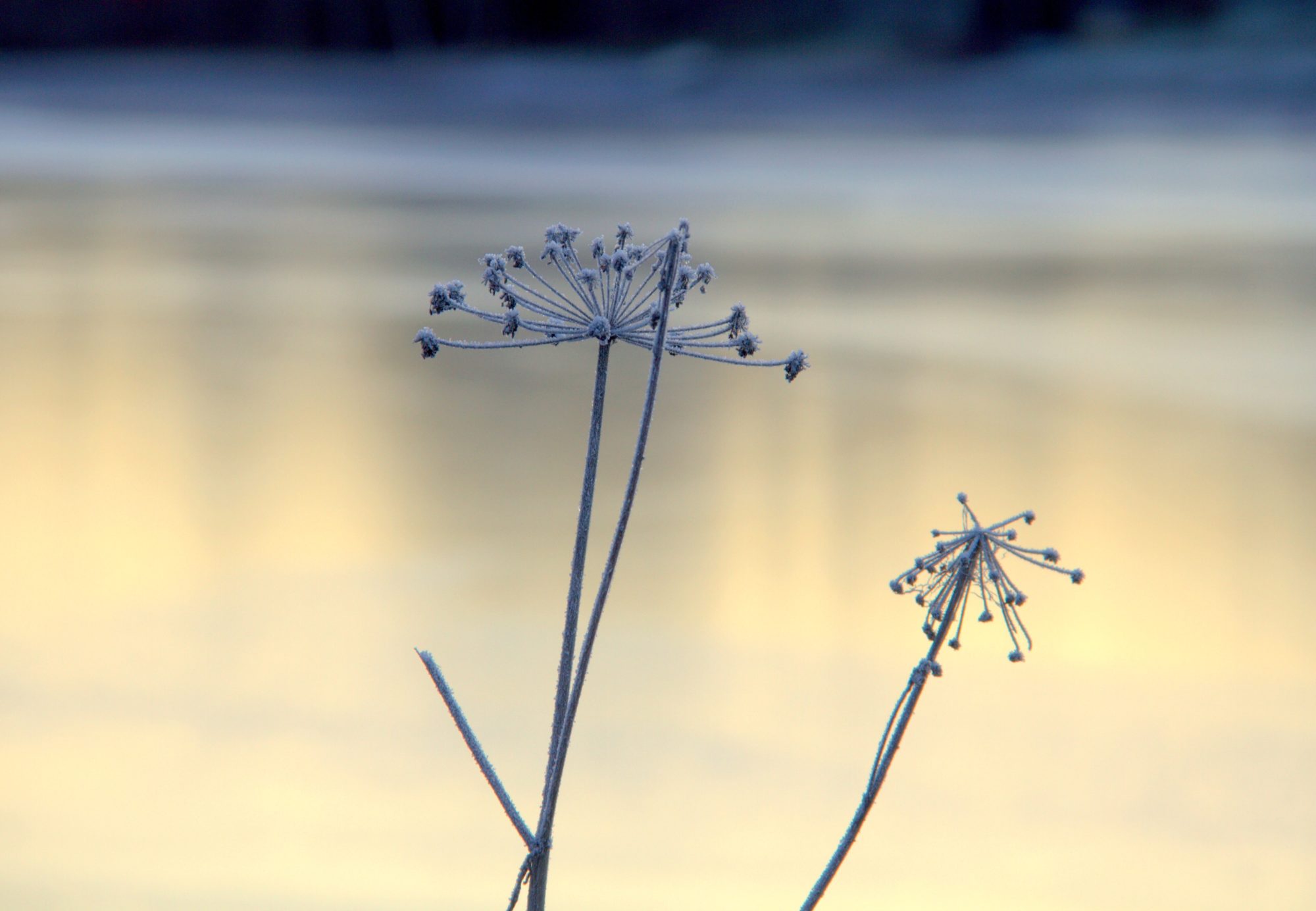 Valokuvaaja: sirpa jyske